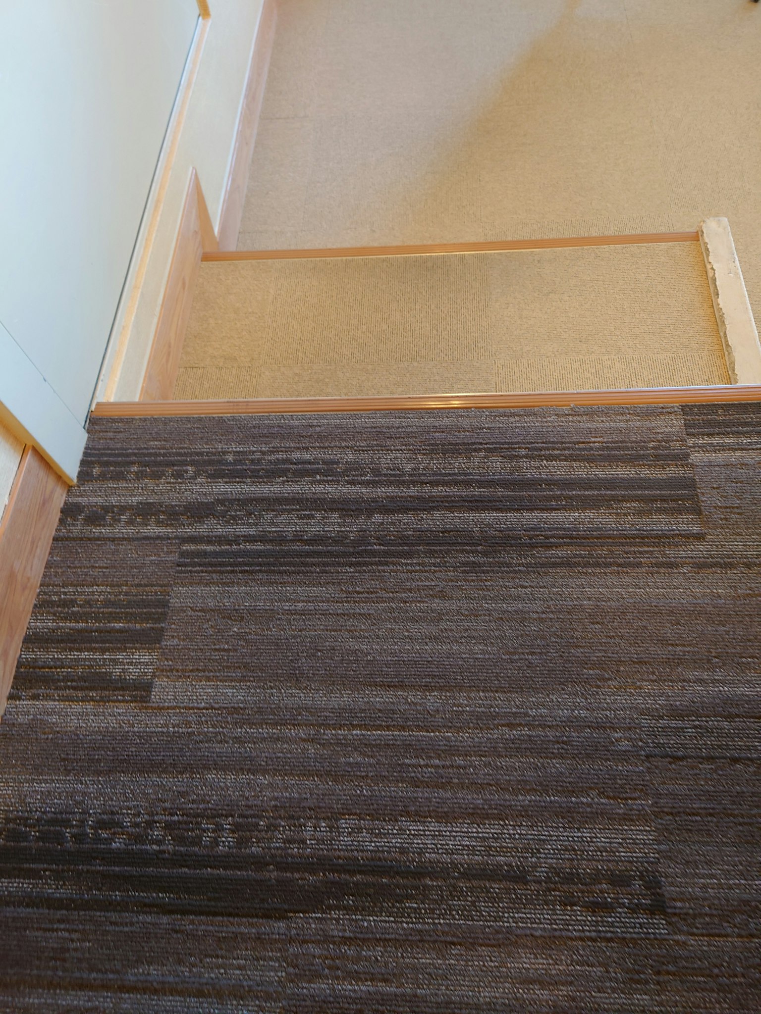 View from the top of the stairs featuring wooden railing and brown carpet