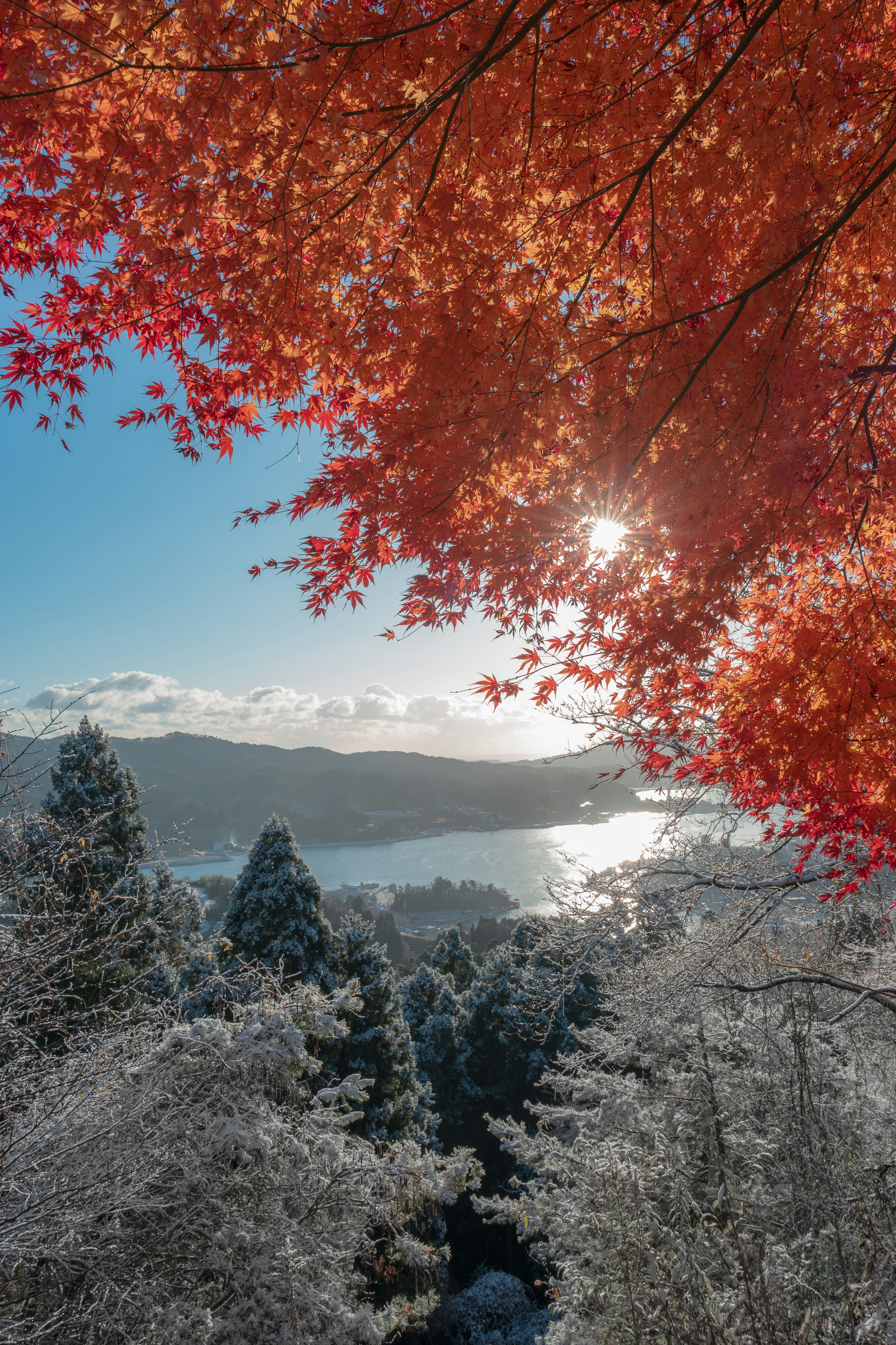 photo-5Zd4e8bYPmz7pBUSE3kc-image