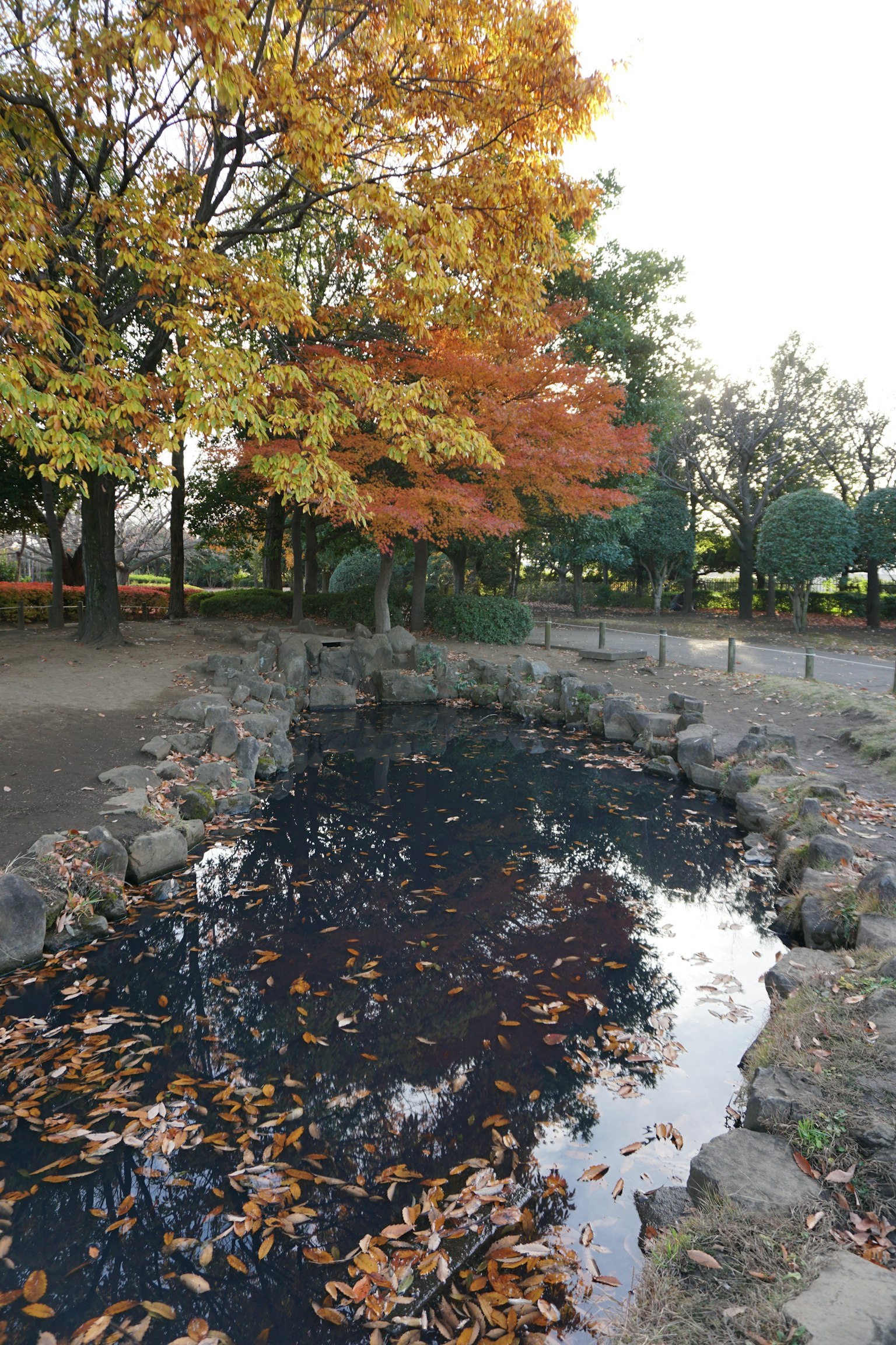 Parkszene mit einem Teich umgeben von Herbstblättern