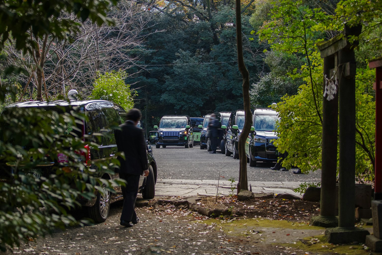 Una persona caminando hacia vehículos estacionados a lo largo de un camino forestal tranquilo