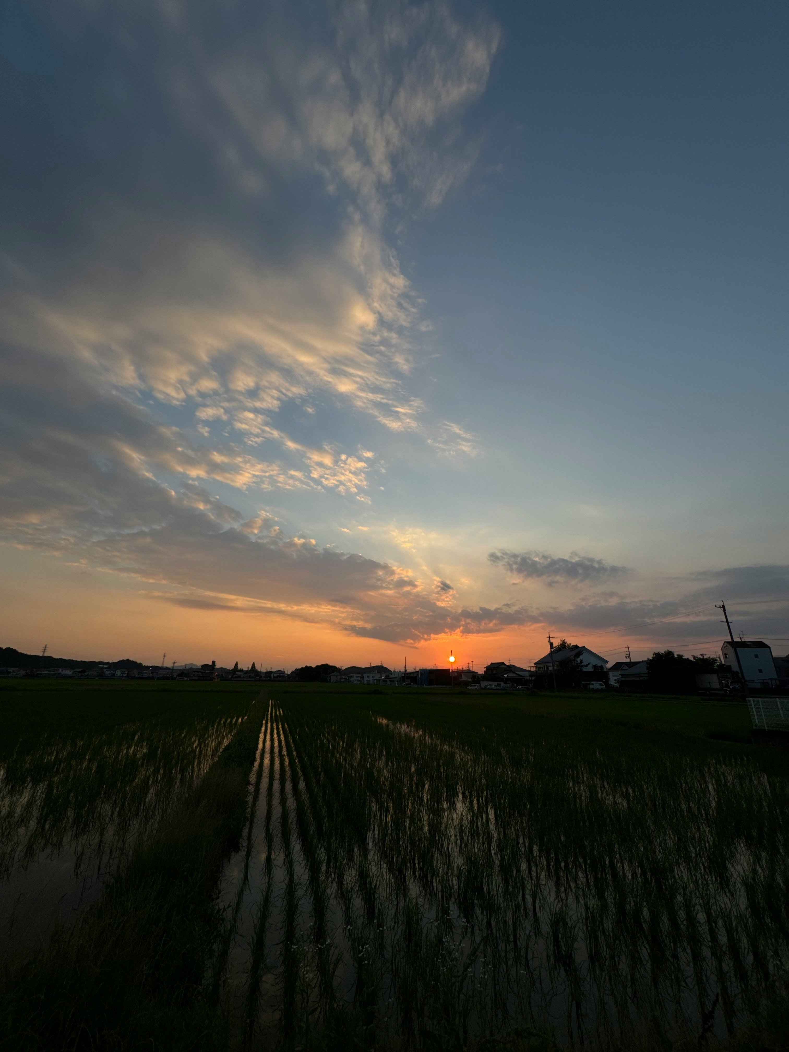 夕焼けの空と畑の一本道