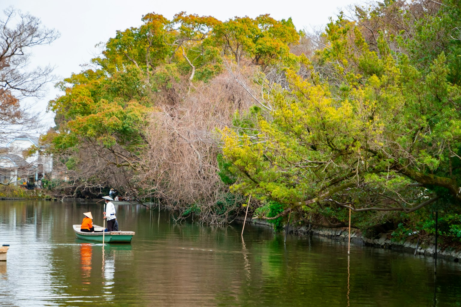 Una escena de río serena con un bote flotando entre árboles verdes y marrones