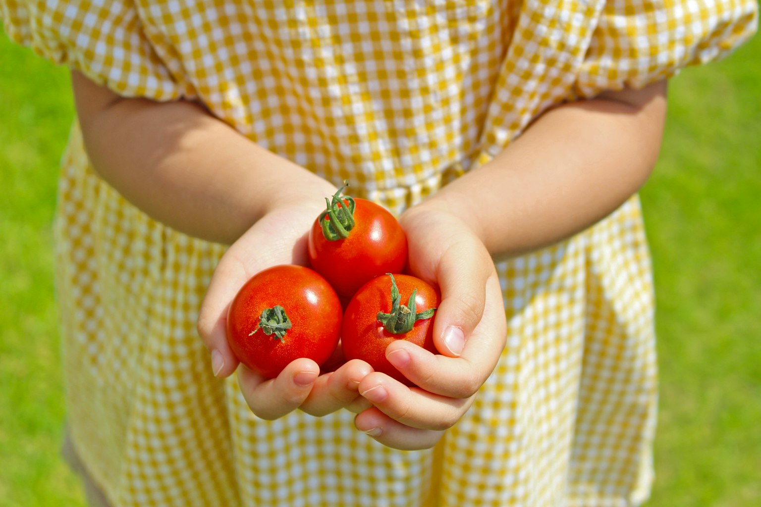 Enfant portant une robe à carreaux jaunes tenant des tomates fraîches