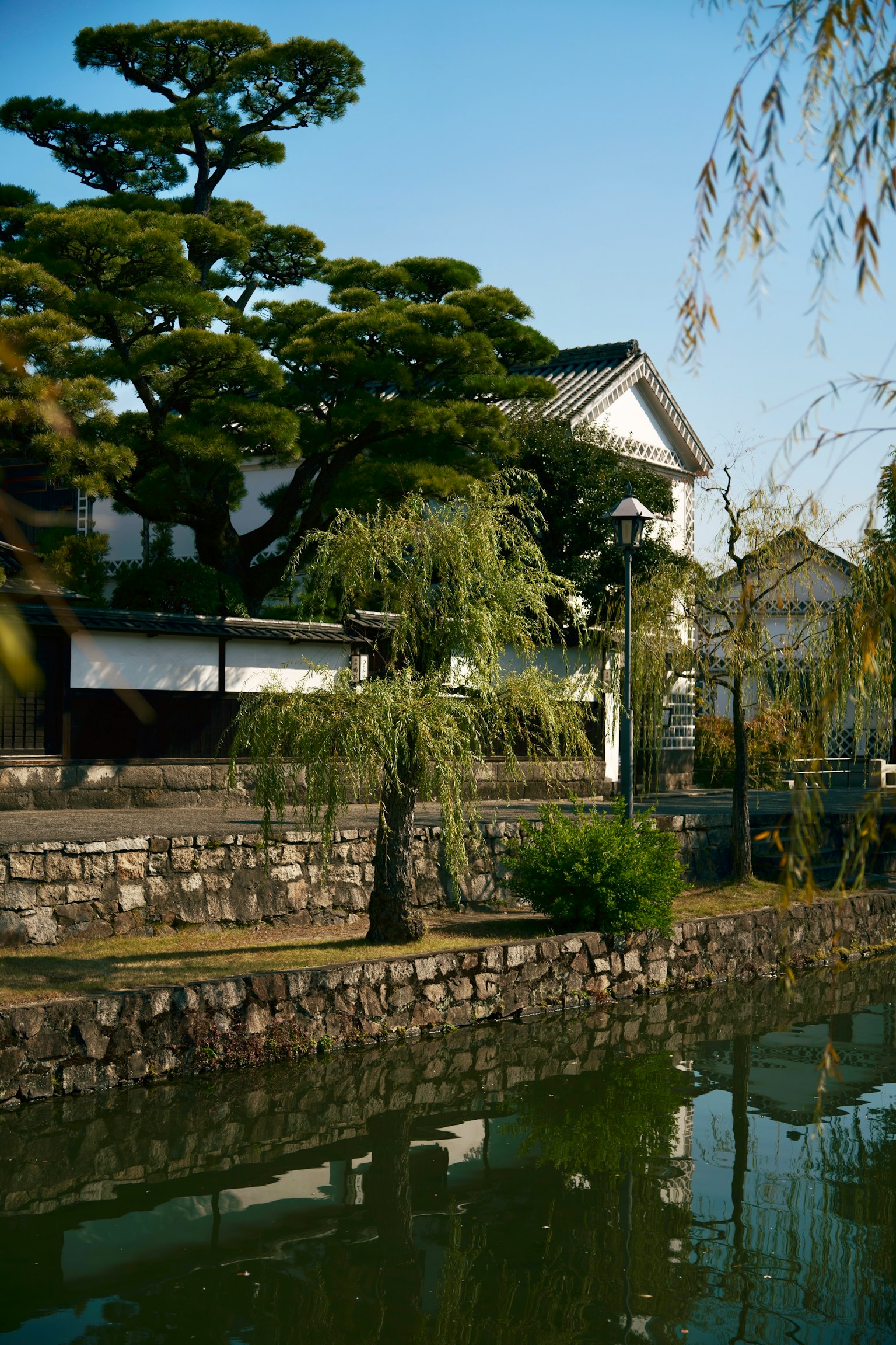 美麗的日本庭園景觀，寧靜的池塘和郁郁蔥蔥的綠意