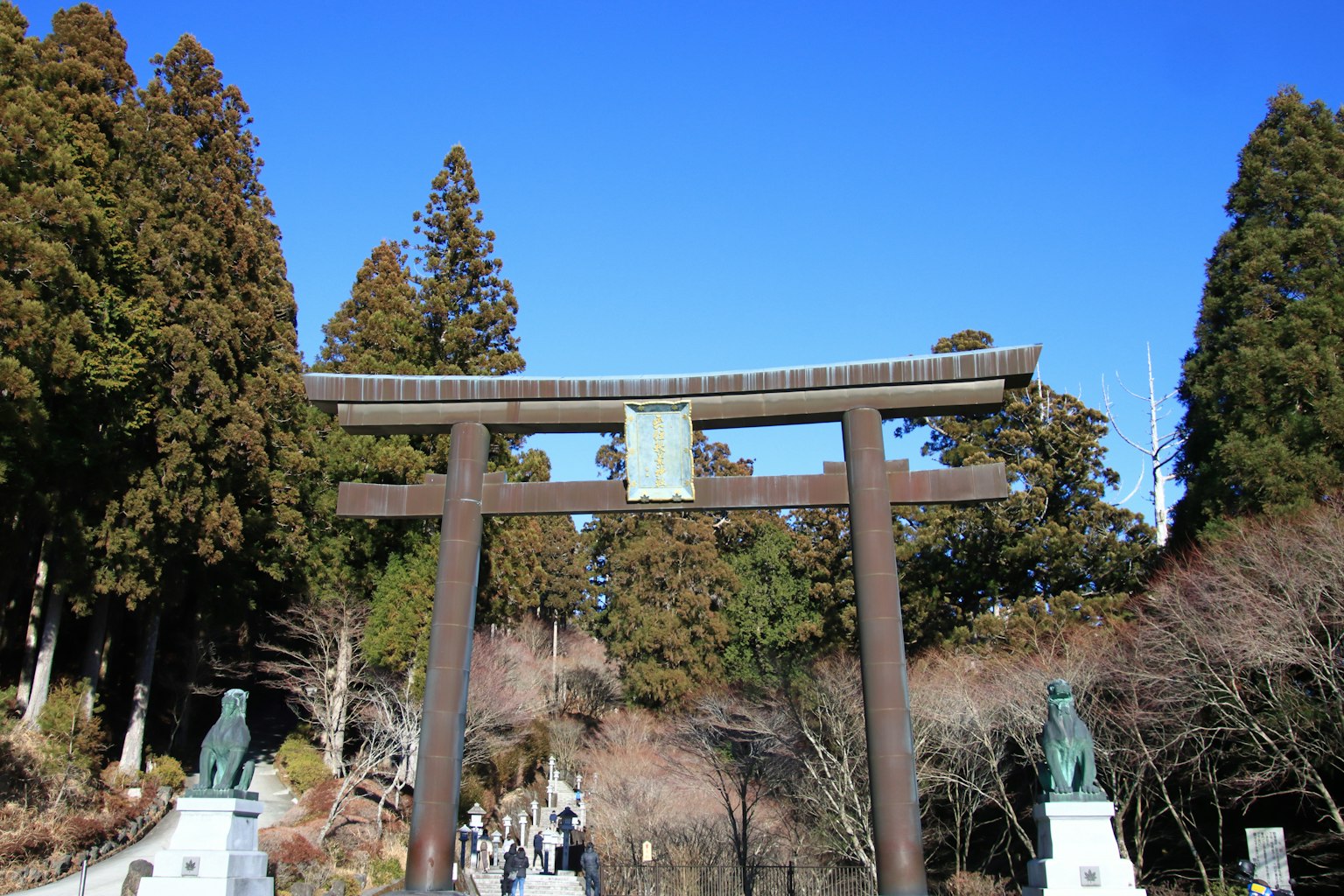 Große Torii unter einem blauen Himmel umgeben von Bäumen