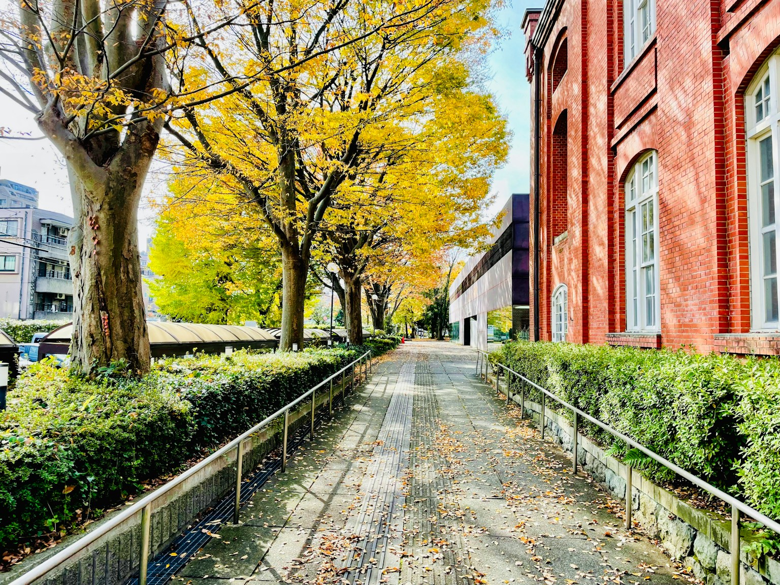Sentier bordé d'arbres aux feuilles jaunes à côté d'un bâtiment en briques rouges