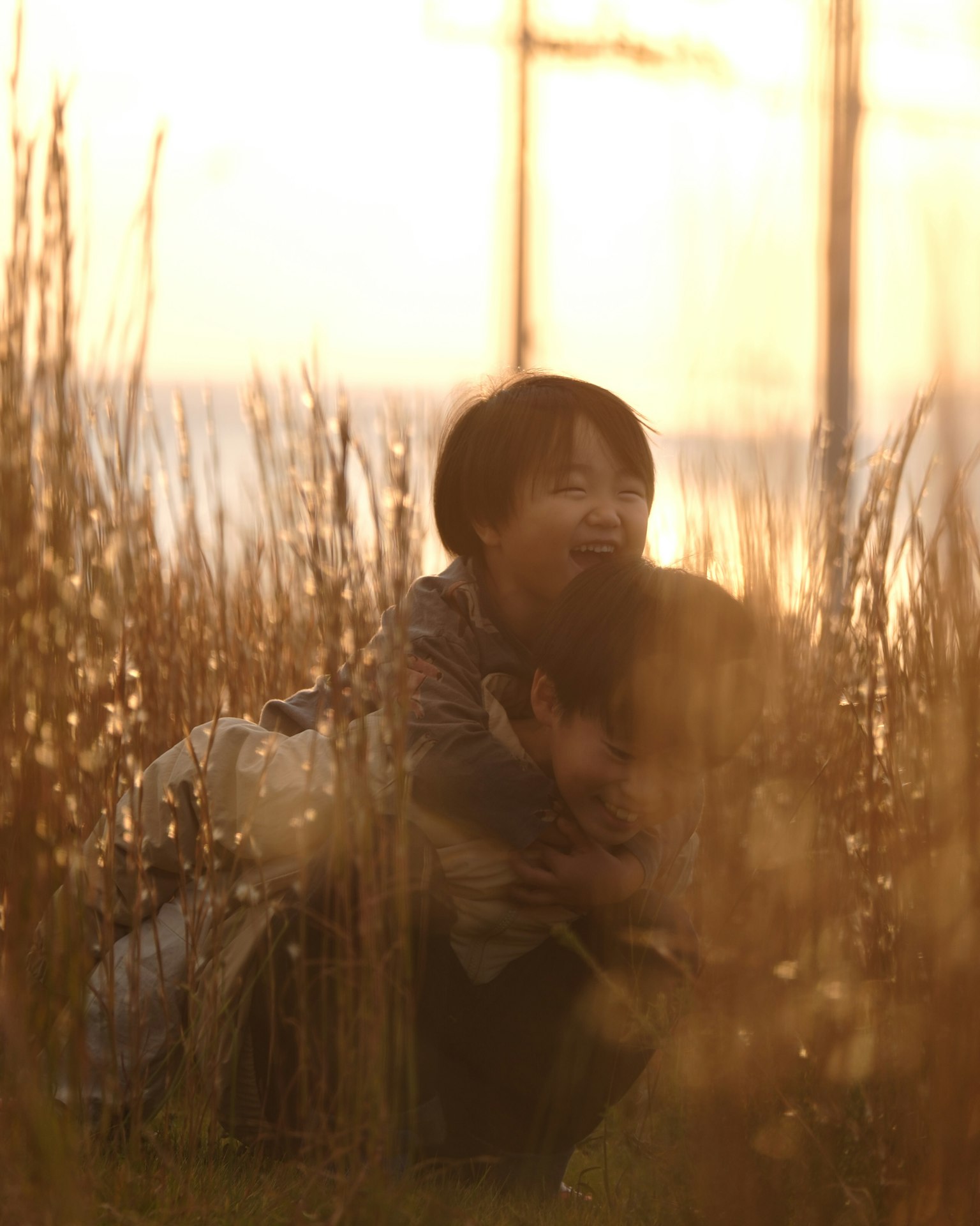 夕日を背景にした草原で遊ぶ子供たちの笑顔