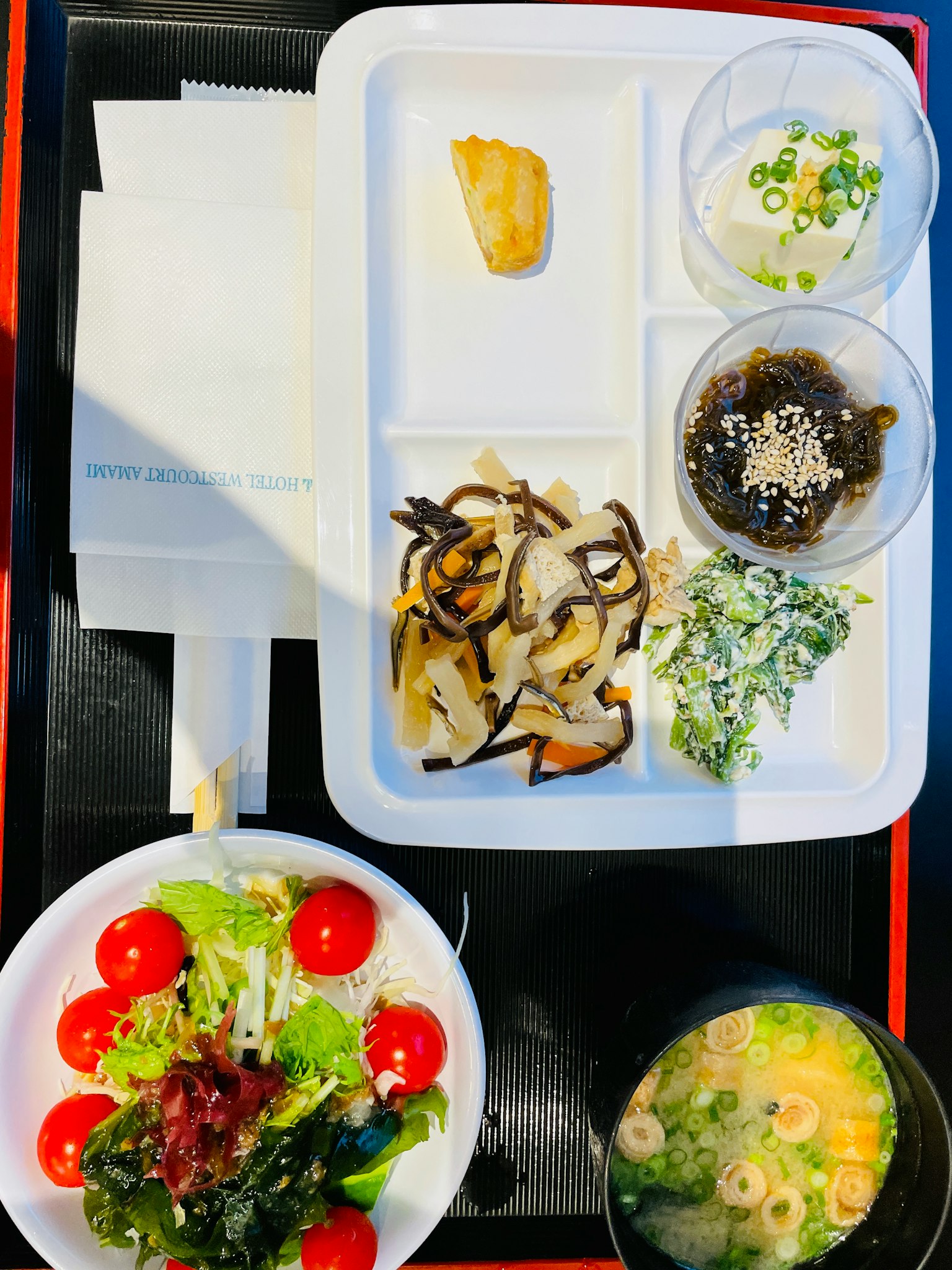 Japanese meal plate with assorted dishes and salad