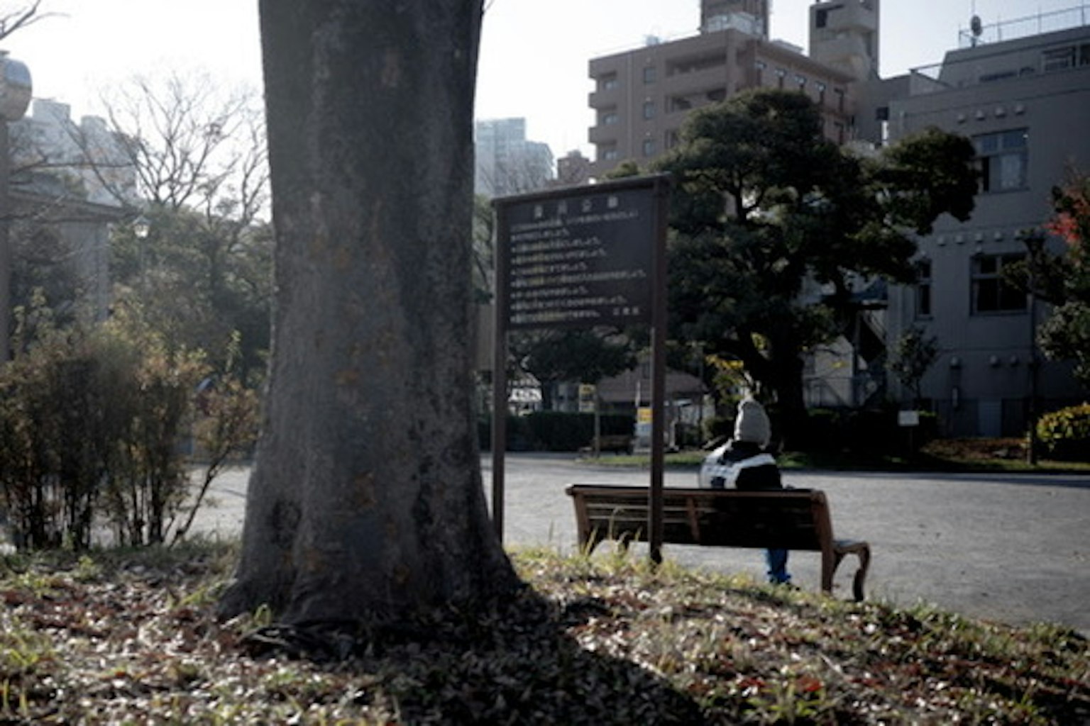 Una persona caminando cerca de un letrero de parque con un árbol y un banco