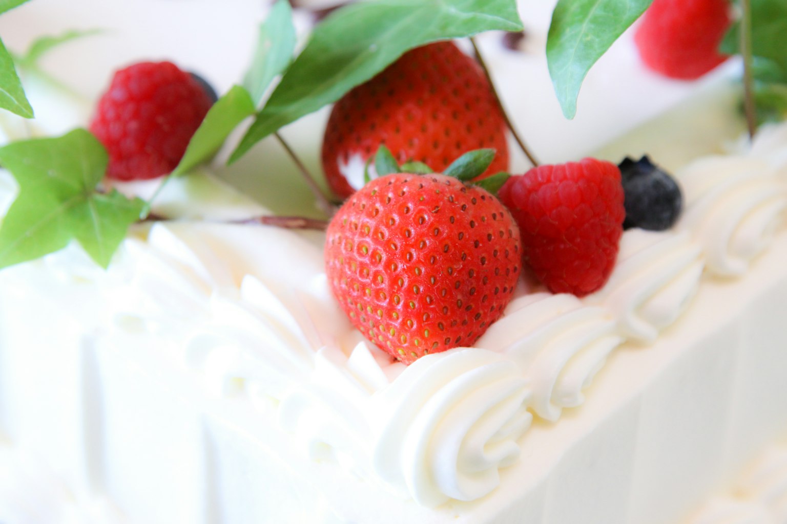 Eine Torte mit frischen Erdbeeren und Himbeeren, umgeben von grünen Blättern