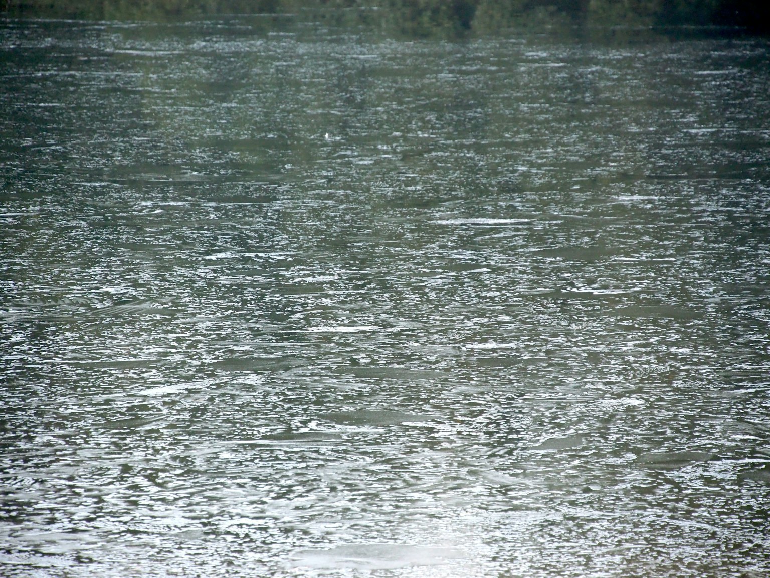 Superficie de agua tranquila durante la lluvia