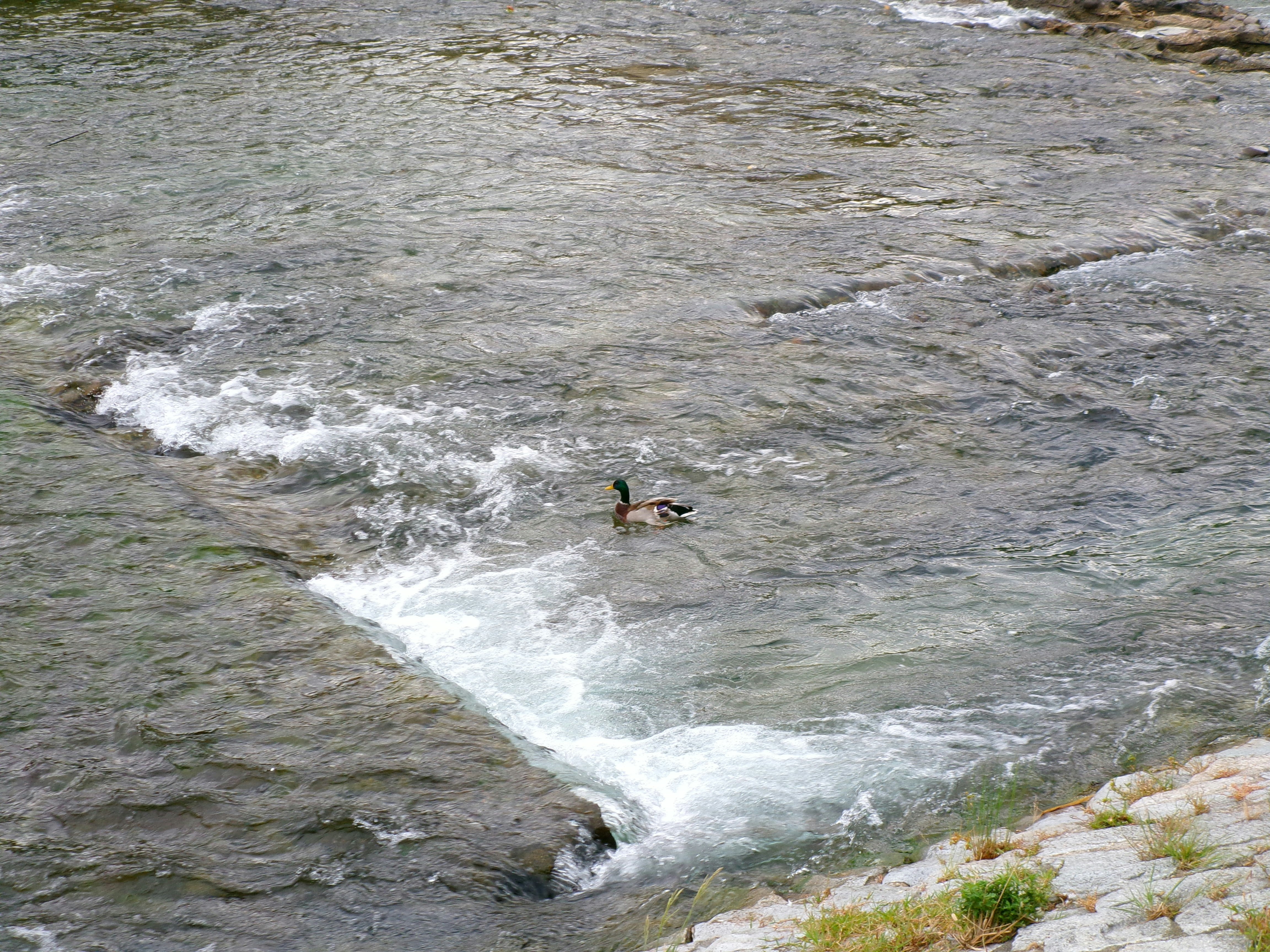 岩場を流れる川の急流と水しぶきのある風景