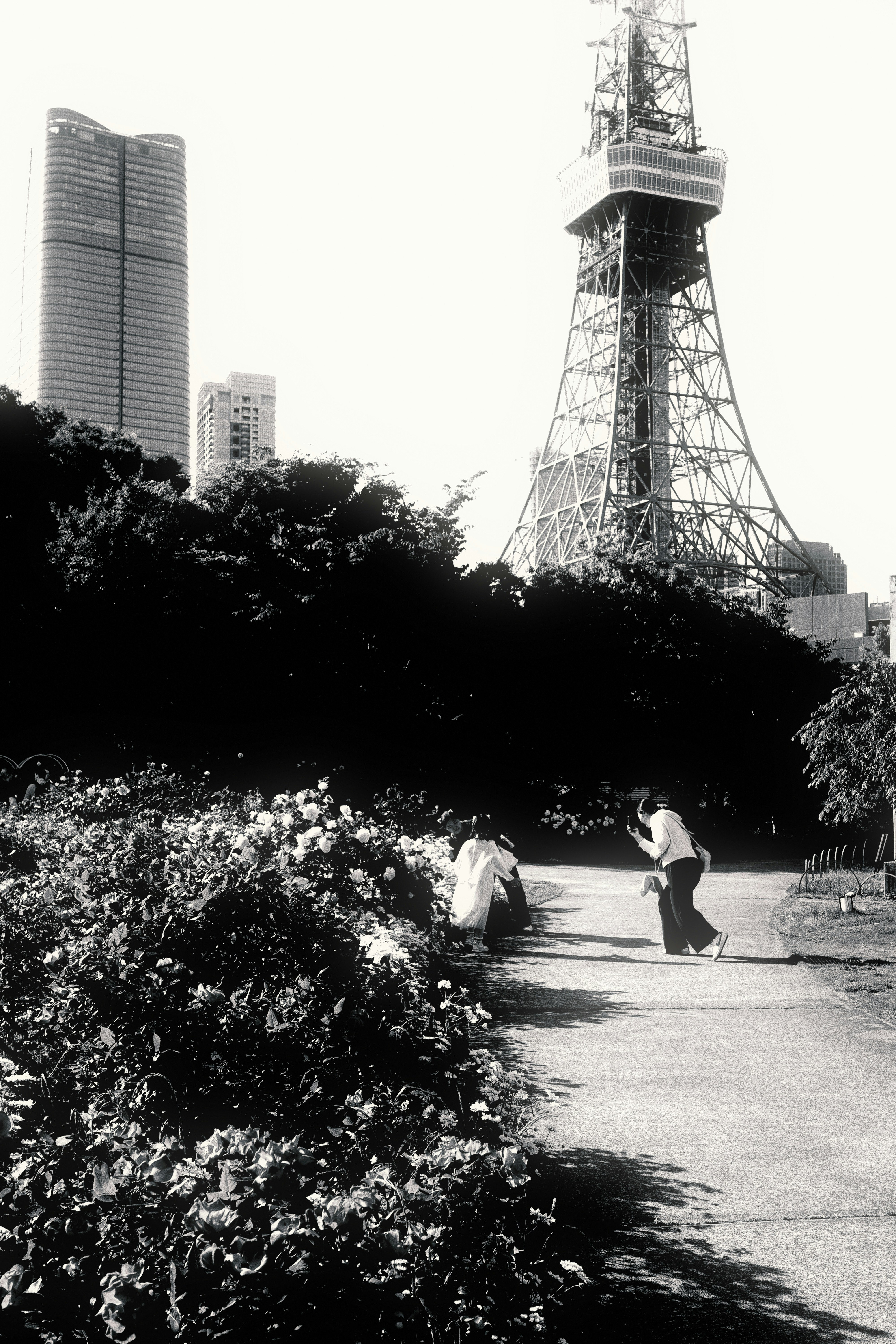 Paysage monochrome avec allée de parc et vue sur la tour de Tokyo