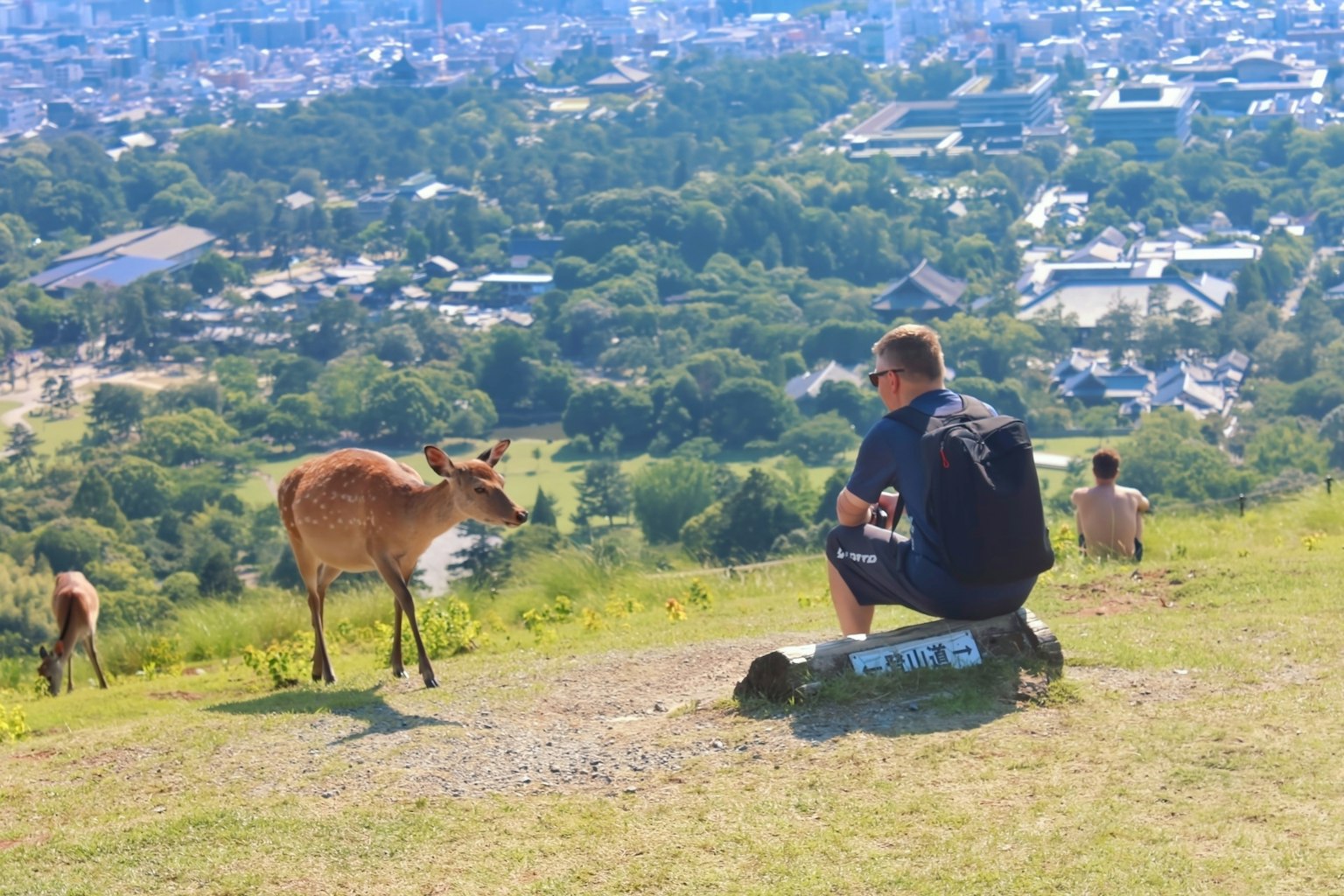 Ein Mann sitzt auf einem Hügel und interagiert mit einem Reh mit Blick auf eine Stadtansicht