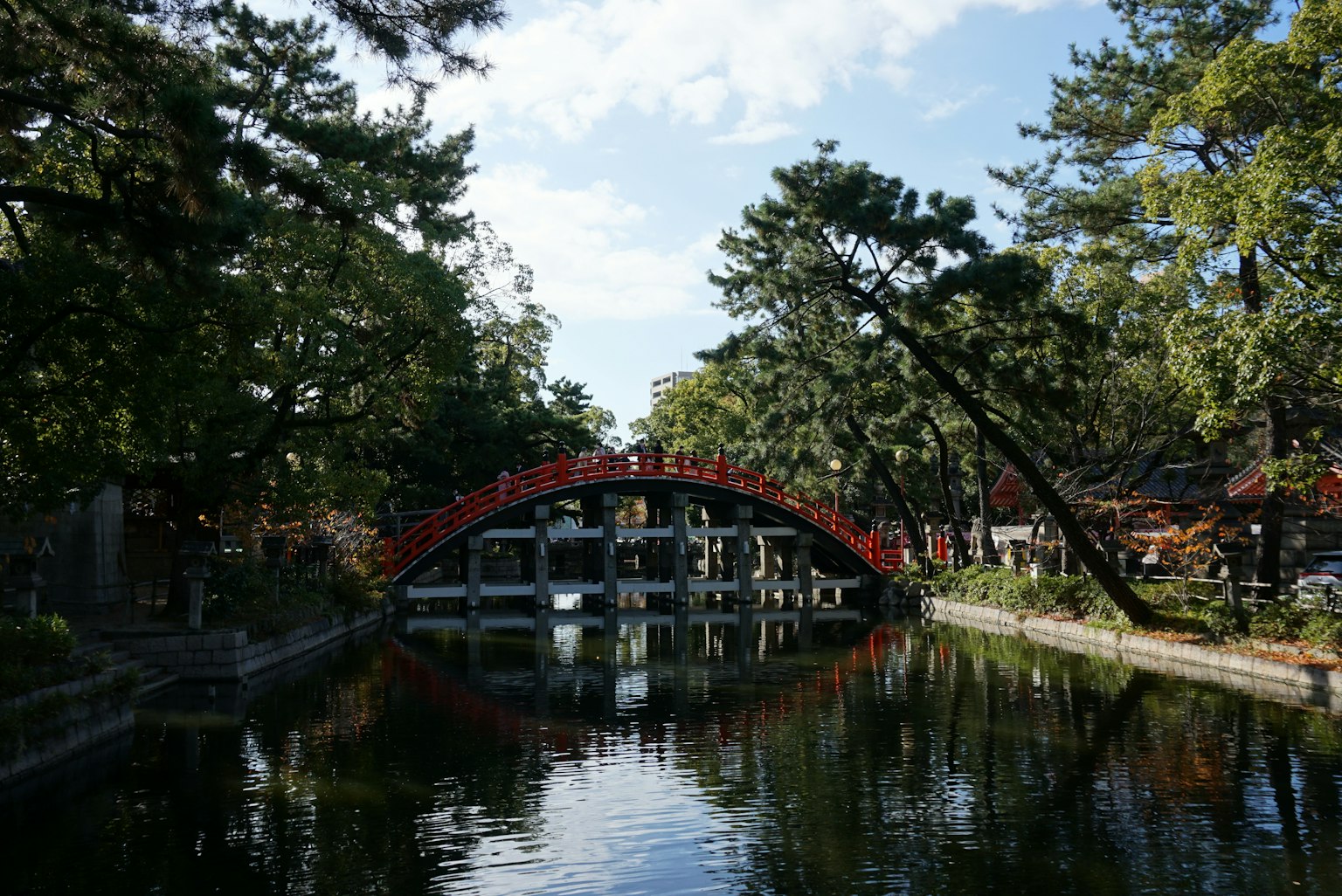 寧靜池塘上方的紅色橋樑與郁郁葱葱的綠地背景