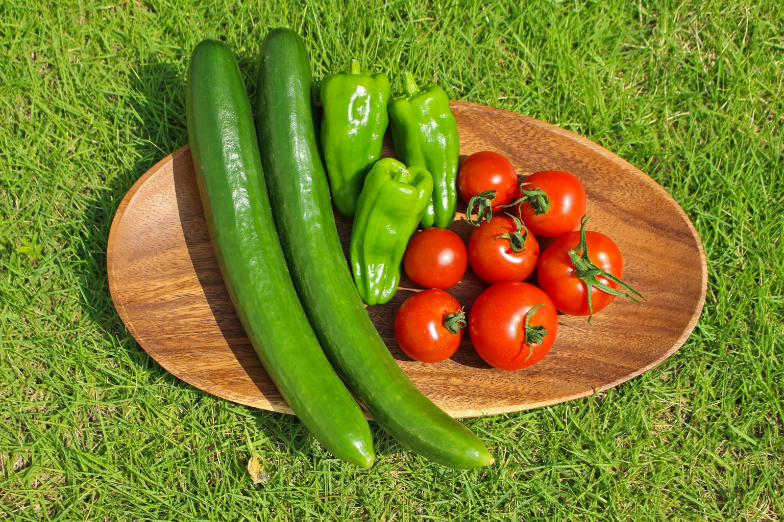 Pepinos pimientos verdes y tomates rojos dispuestos en un plato de madera sobre hierba