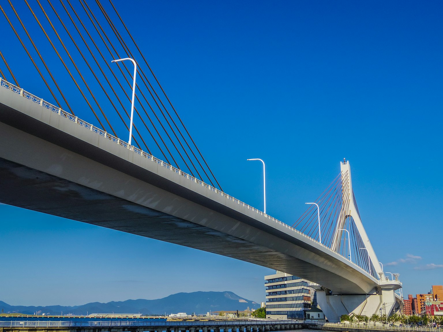 Jembatan modern dengan kabel di bawah langit biru yang cerah