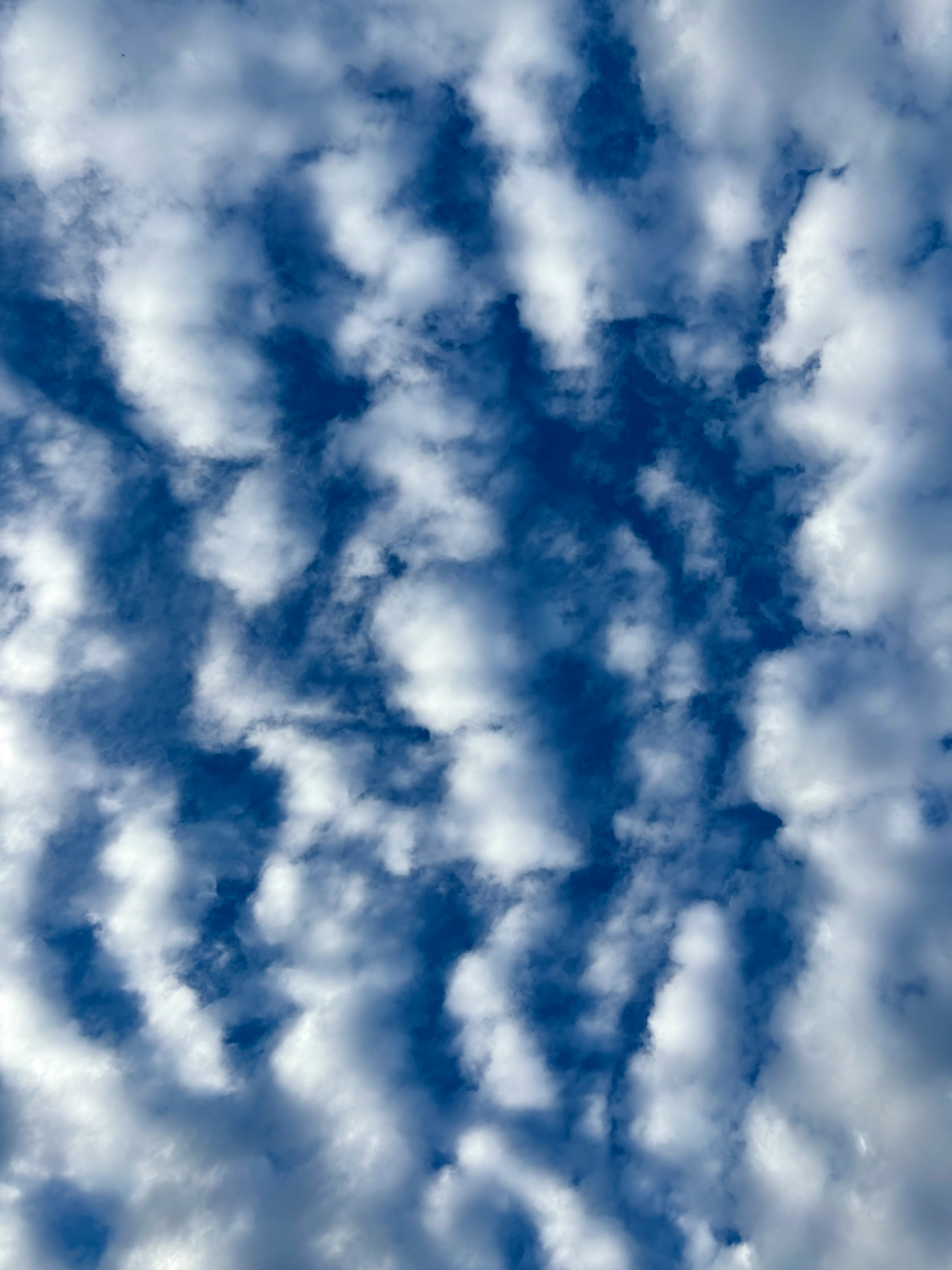 langit musim gugur biru dengan awan berarak