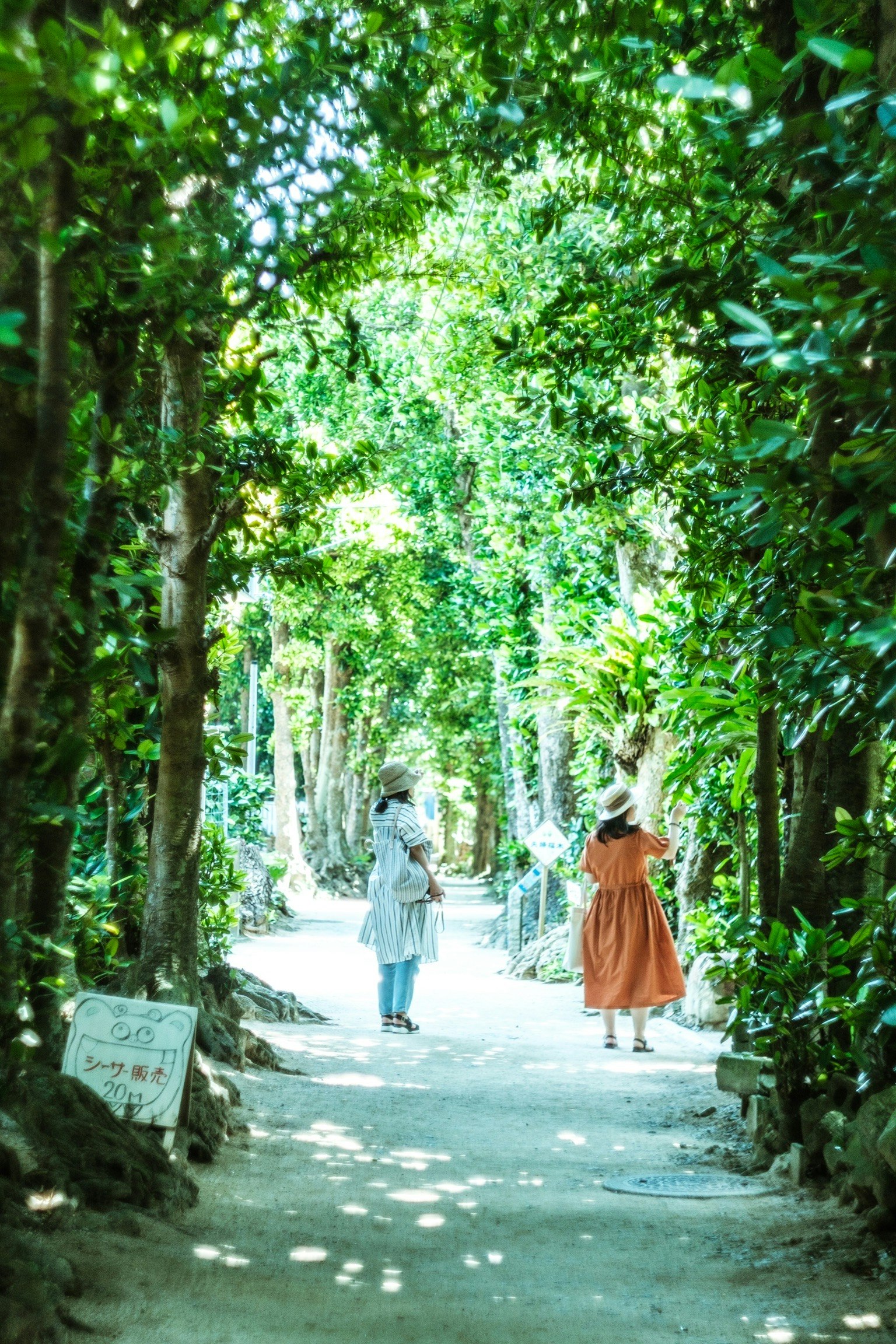 Two people walking on a path surrounded by lush greenery