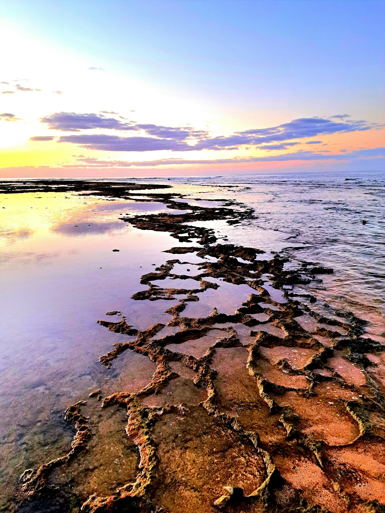 美丽日落的沿海湿地风景