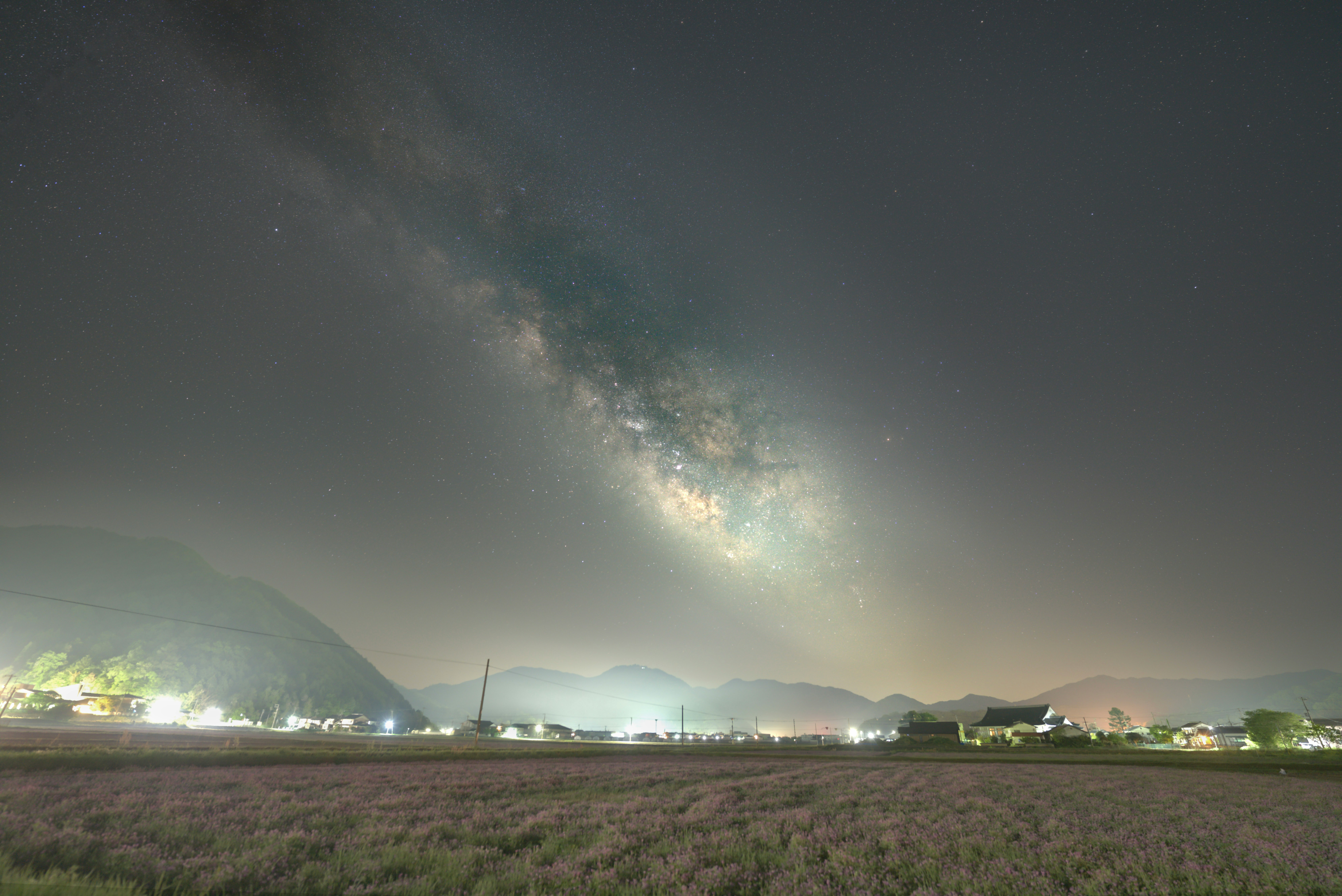 蓮華畑の上に広がる天の川の夜空