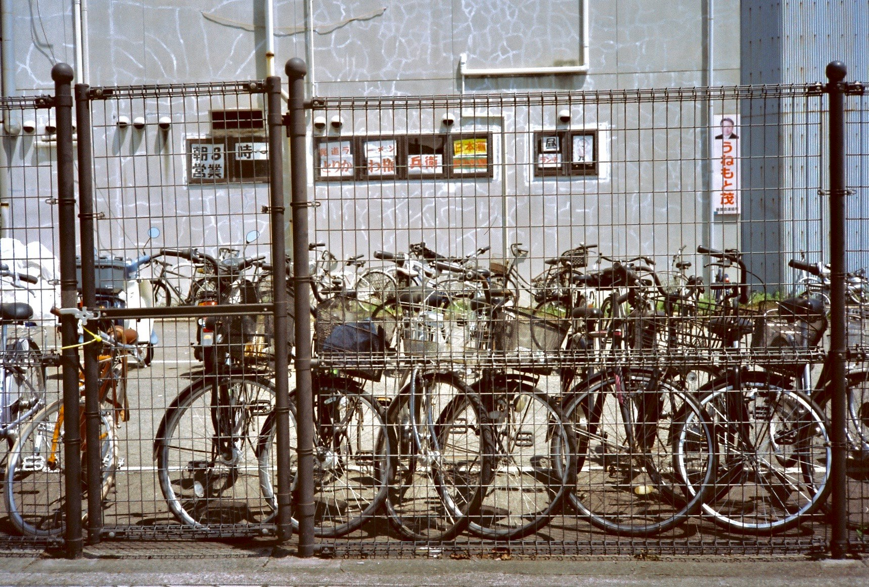 bicycles lined up in front of a fence in a narrow alley-like scene