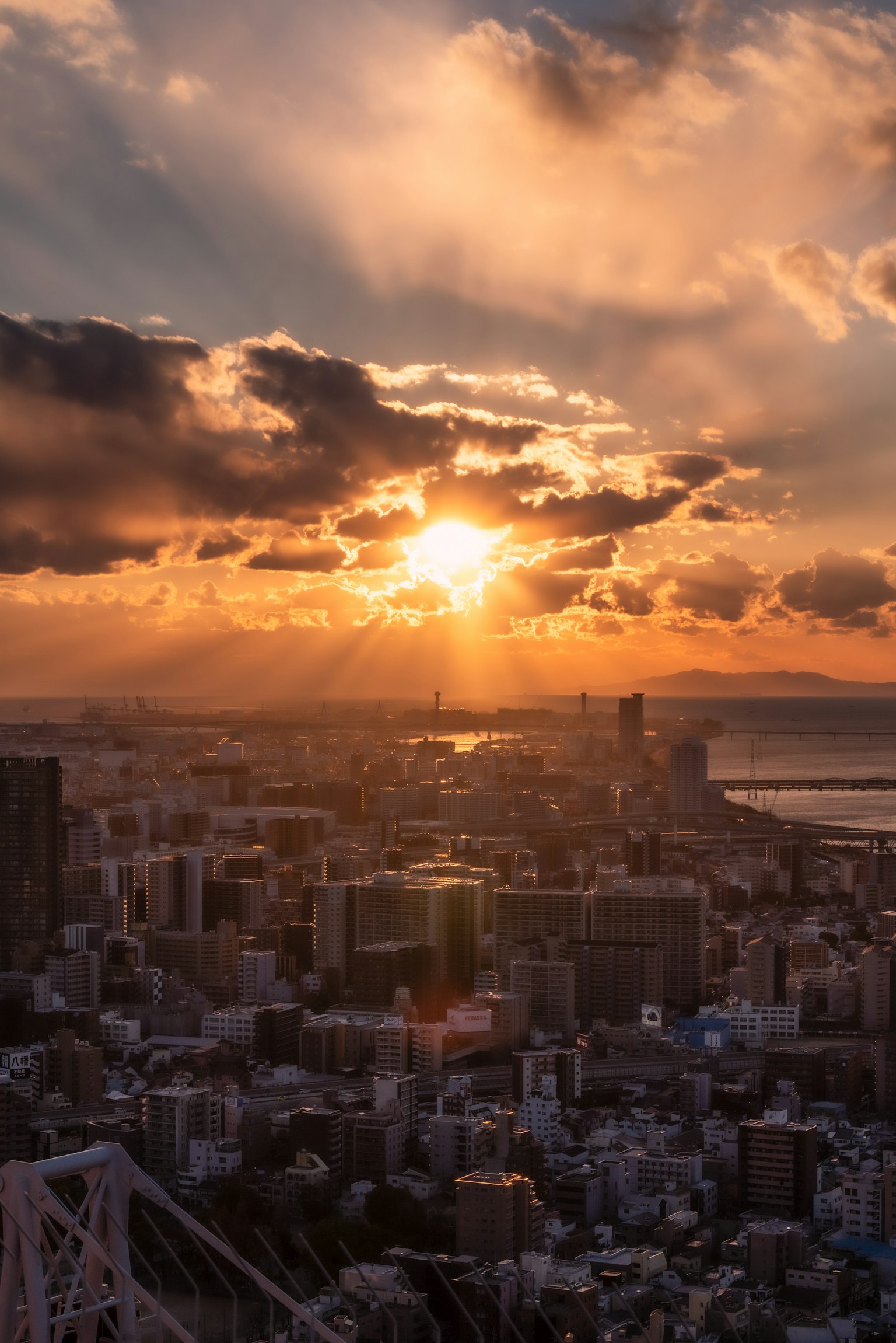 photo-5i8mEWVy05U0upkmDshn-image