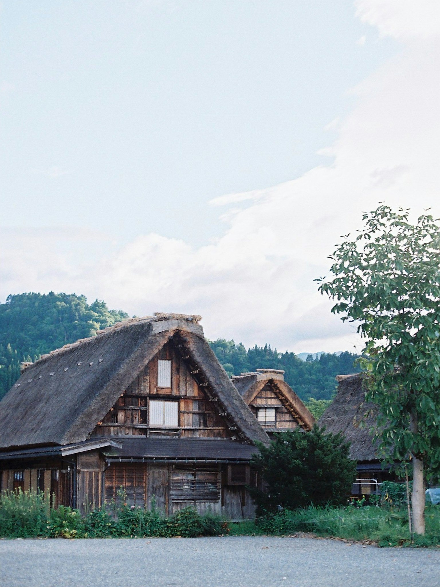 Maisons à toit de chaume traditionnel dans un paysage pittoresque