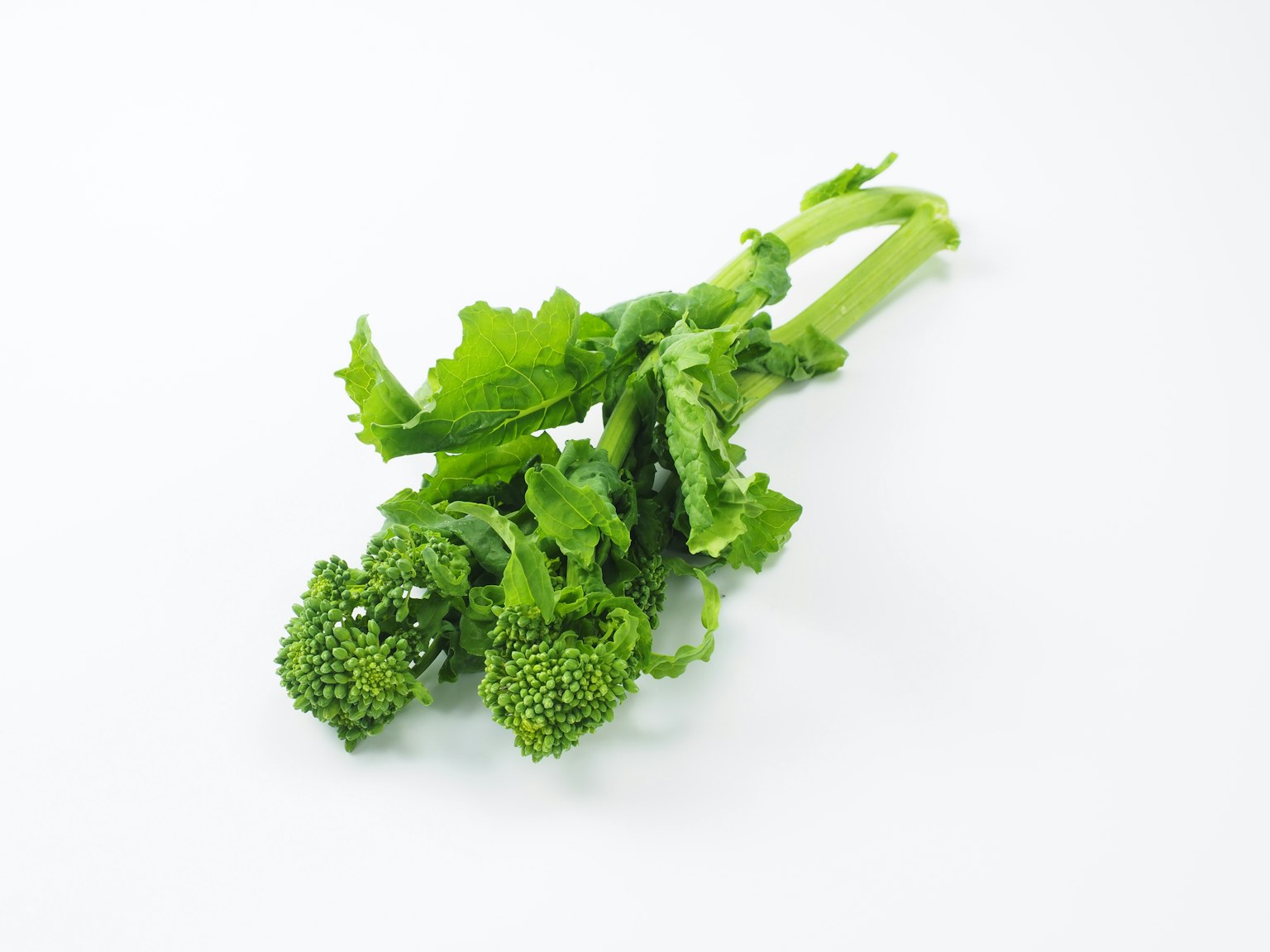 Image featuring green broccolini with stems and florets
