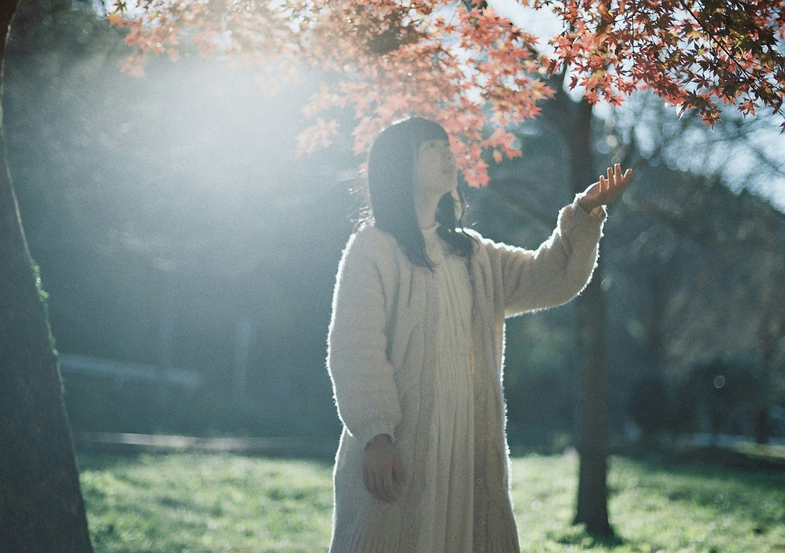 女性在秋天柔和的光线下伸手触摸树下