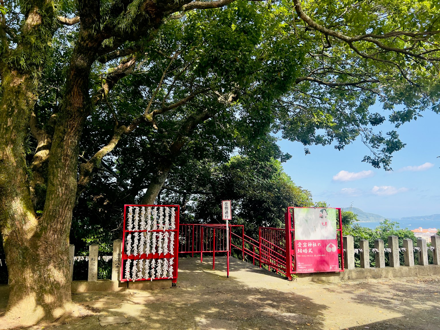 Una puerta roja rodeada de árboles verdes exuberantes
