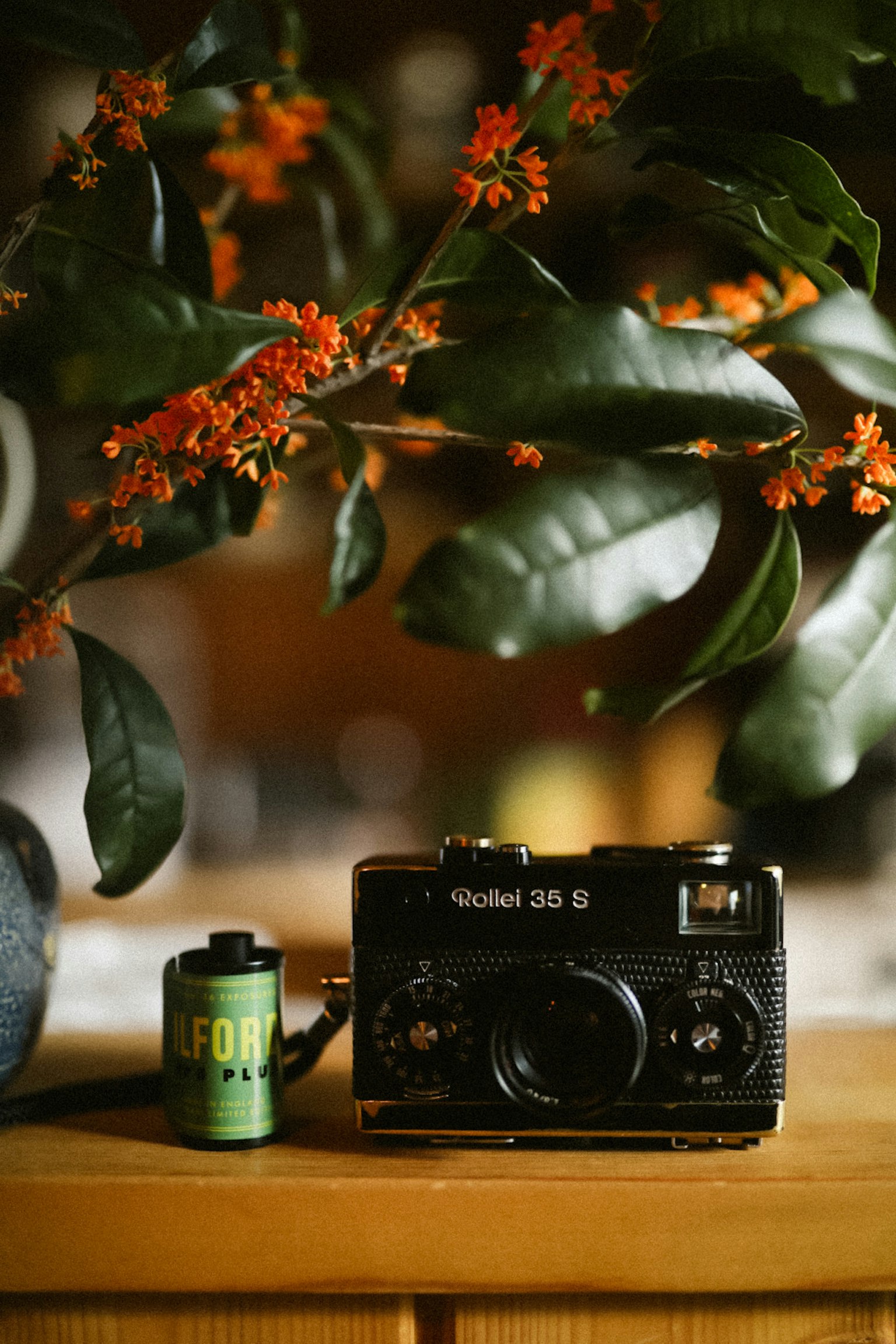 カメラとフィルムが置かれたテーブルの上に、オレンジ色の花が咲く植物がある