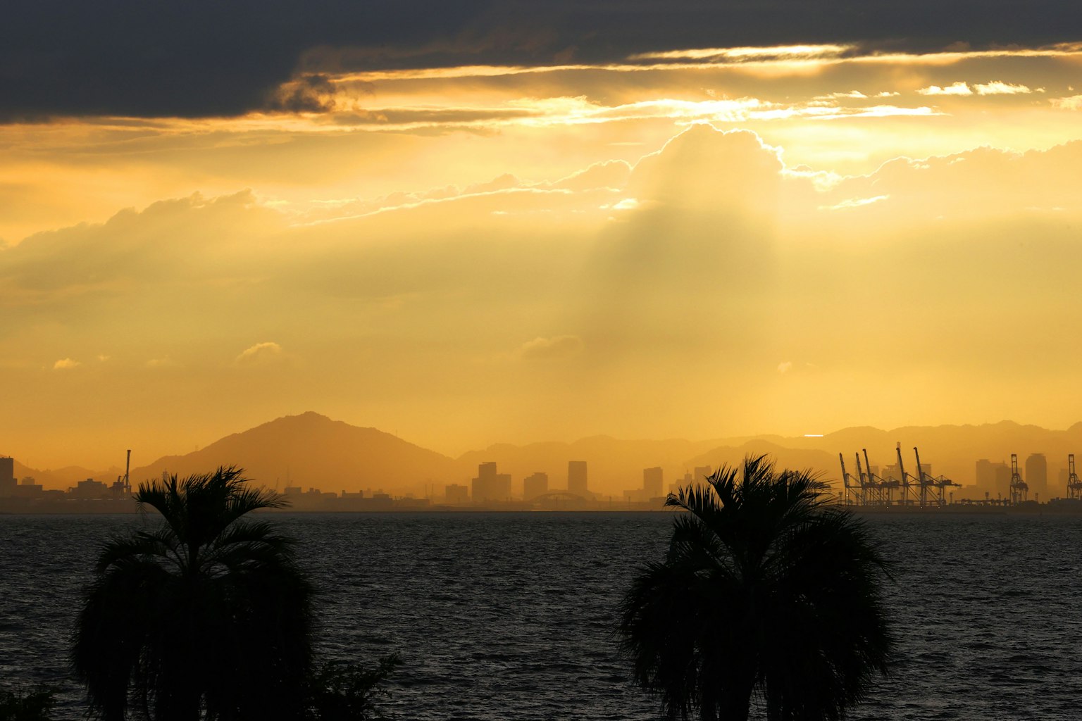 Silhouette de palmiers contre un coucher de soleil sur la mer avec des montagnes lointaines