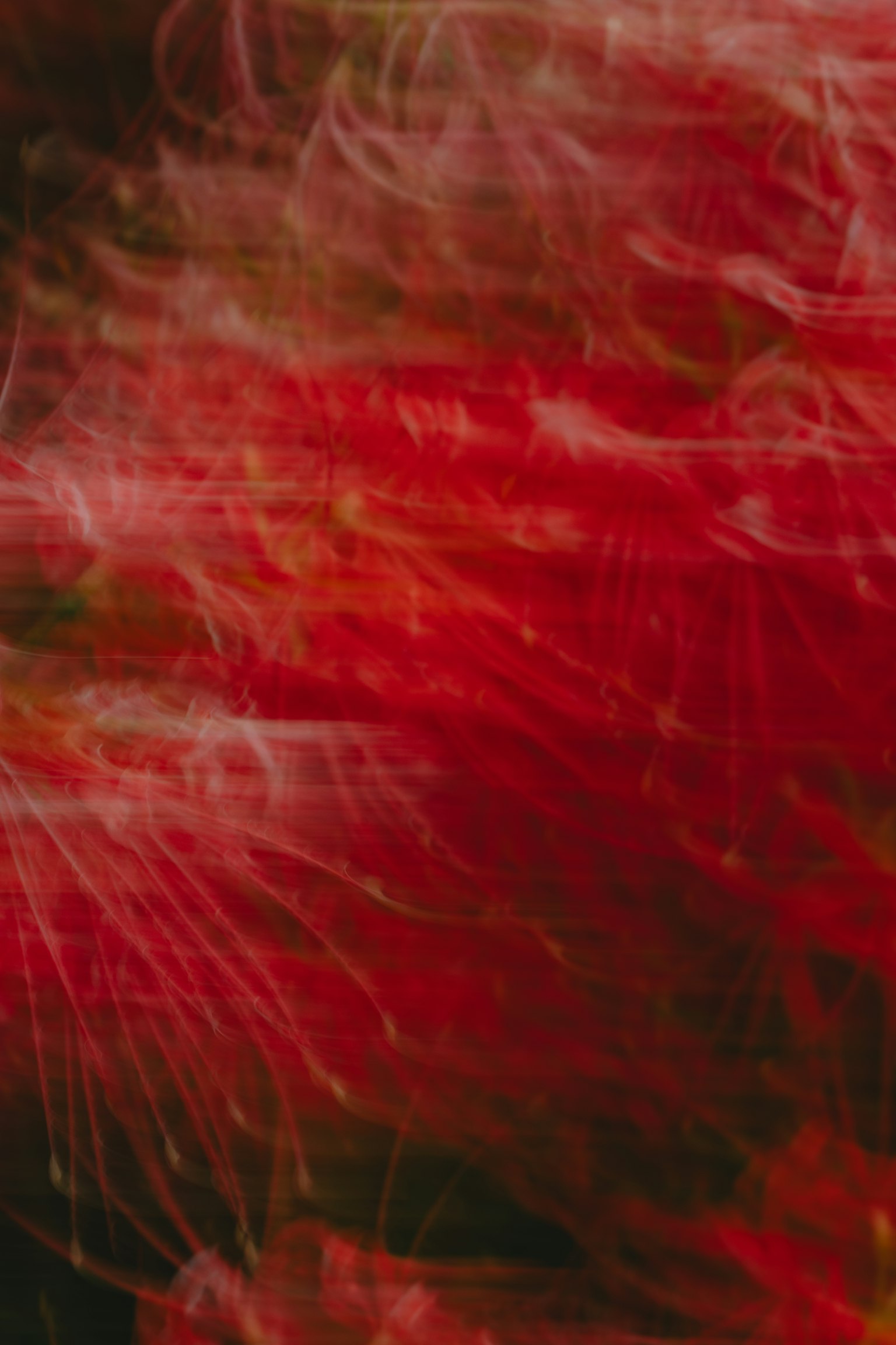 Imagen abstracta con patrones rojos en espiral