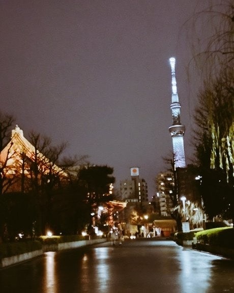 夜の浅草寺周辺の街並みと東京スカイツリーのシルエット