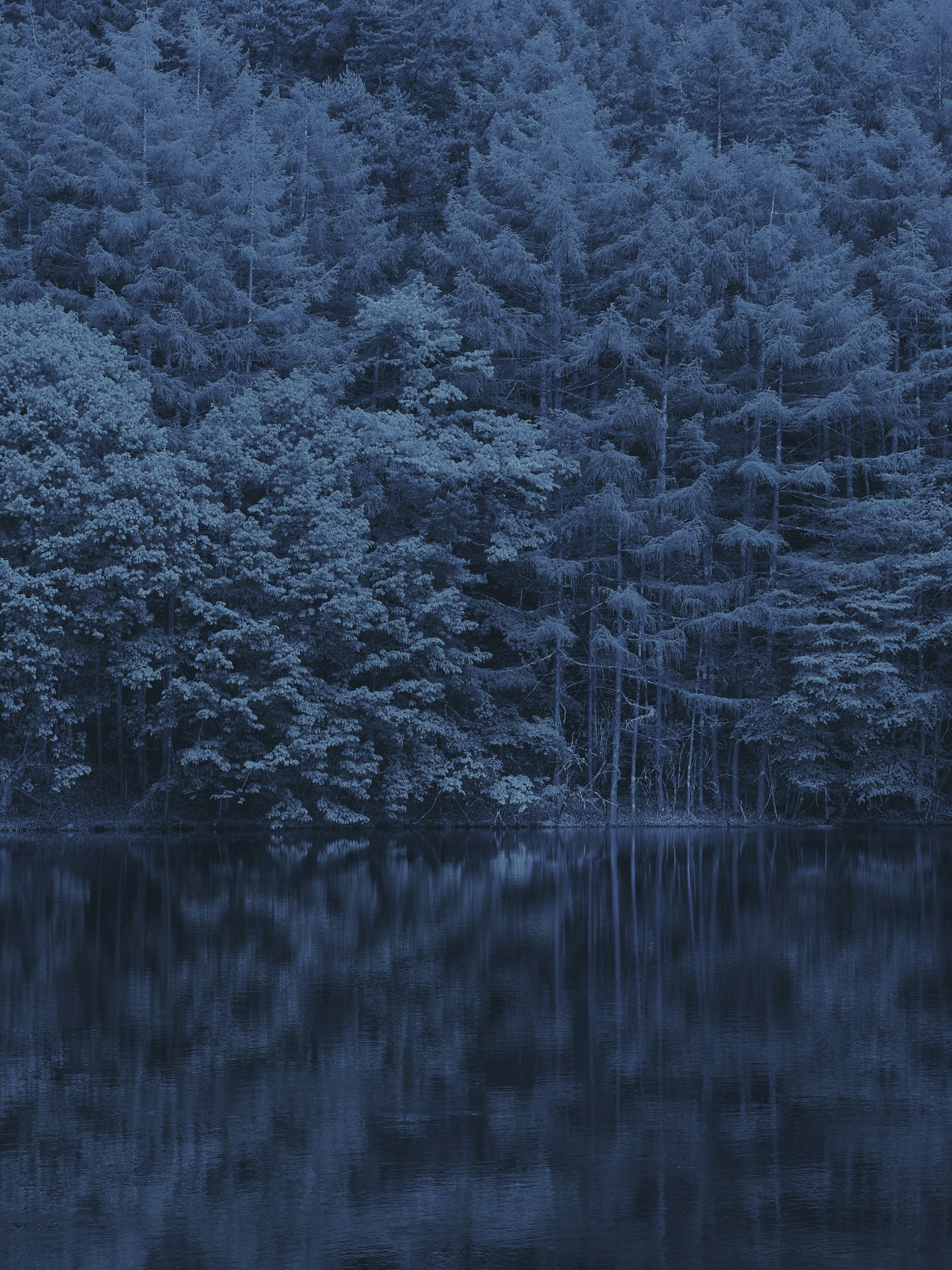 ทิวทัศน์ป่าไม้สะท้อนบนผิวน้ำสีน้ำเงิน