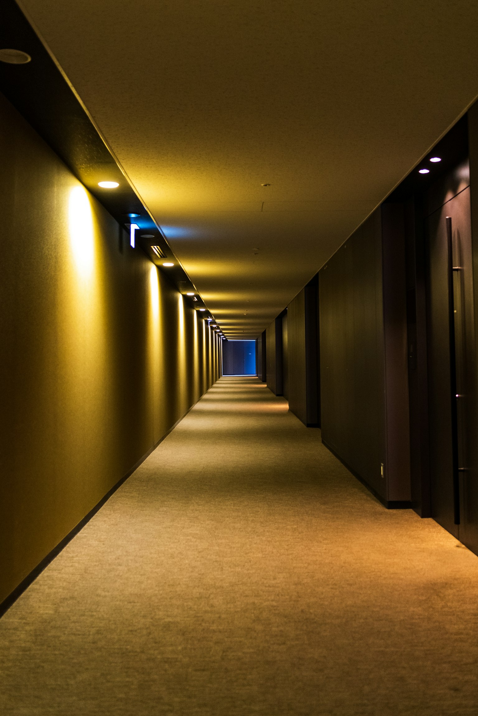 ์์ชฝ์ ๋ฌธ์ด ์๋ ๋ฐ๋ปํ ์กฐ๋ช
์ ๊ธด ์ด๋์ด ๋ณต๋