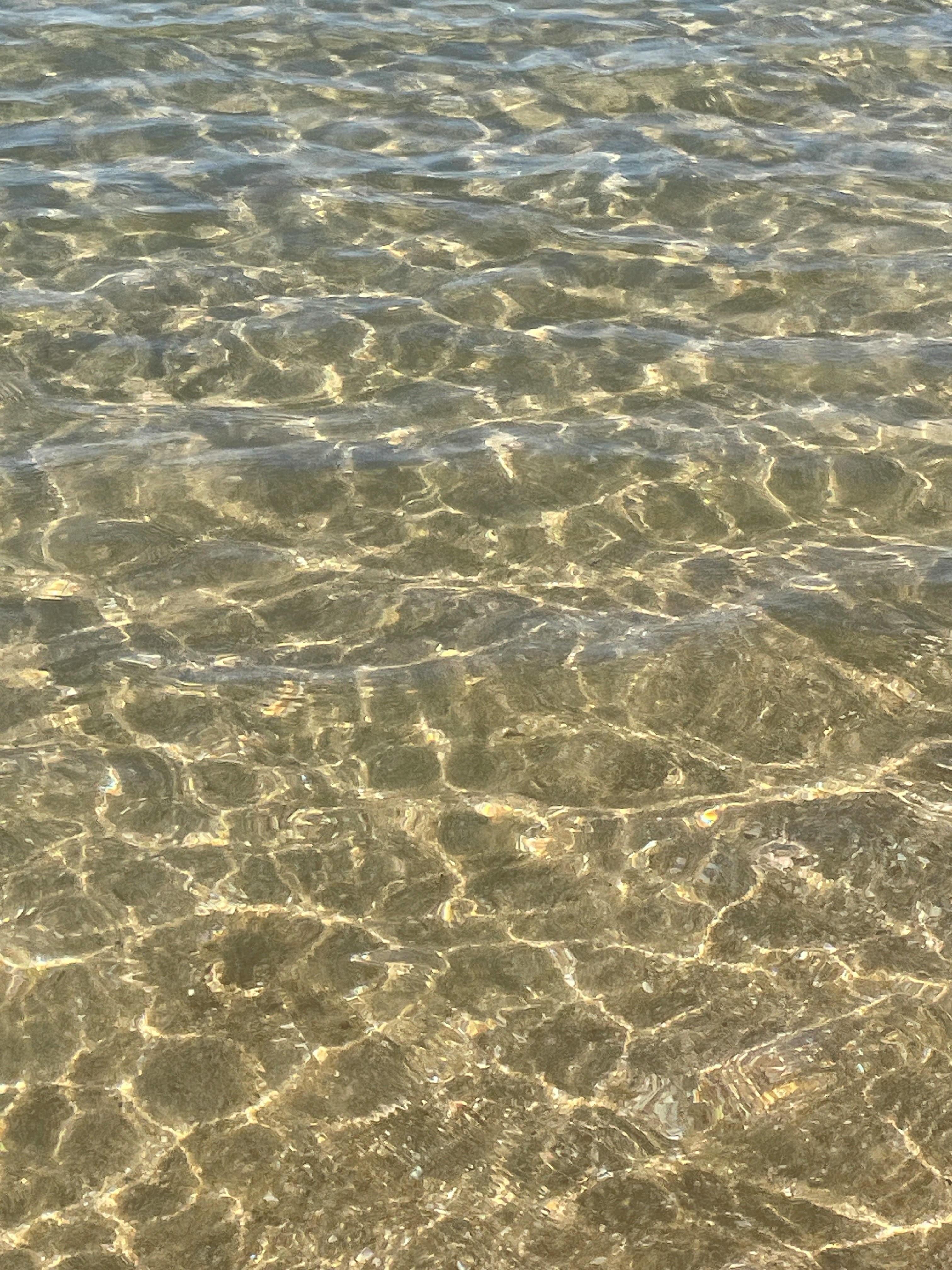 透明な水面の波紋