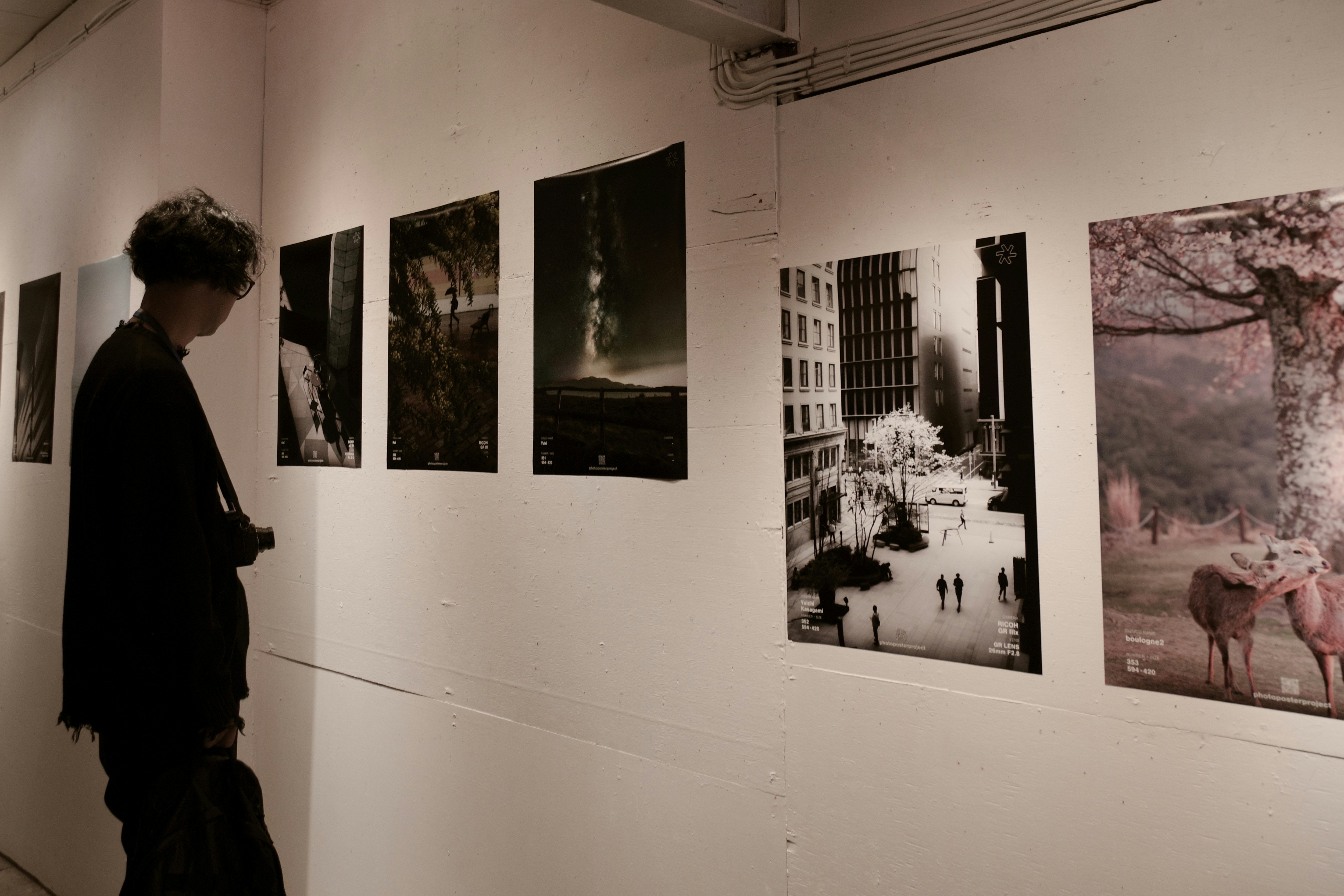 東京・浅草橋の展示室で並ぶ写真パネルの壁面