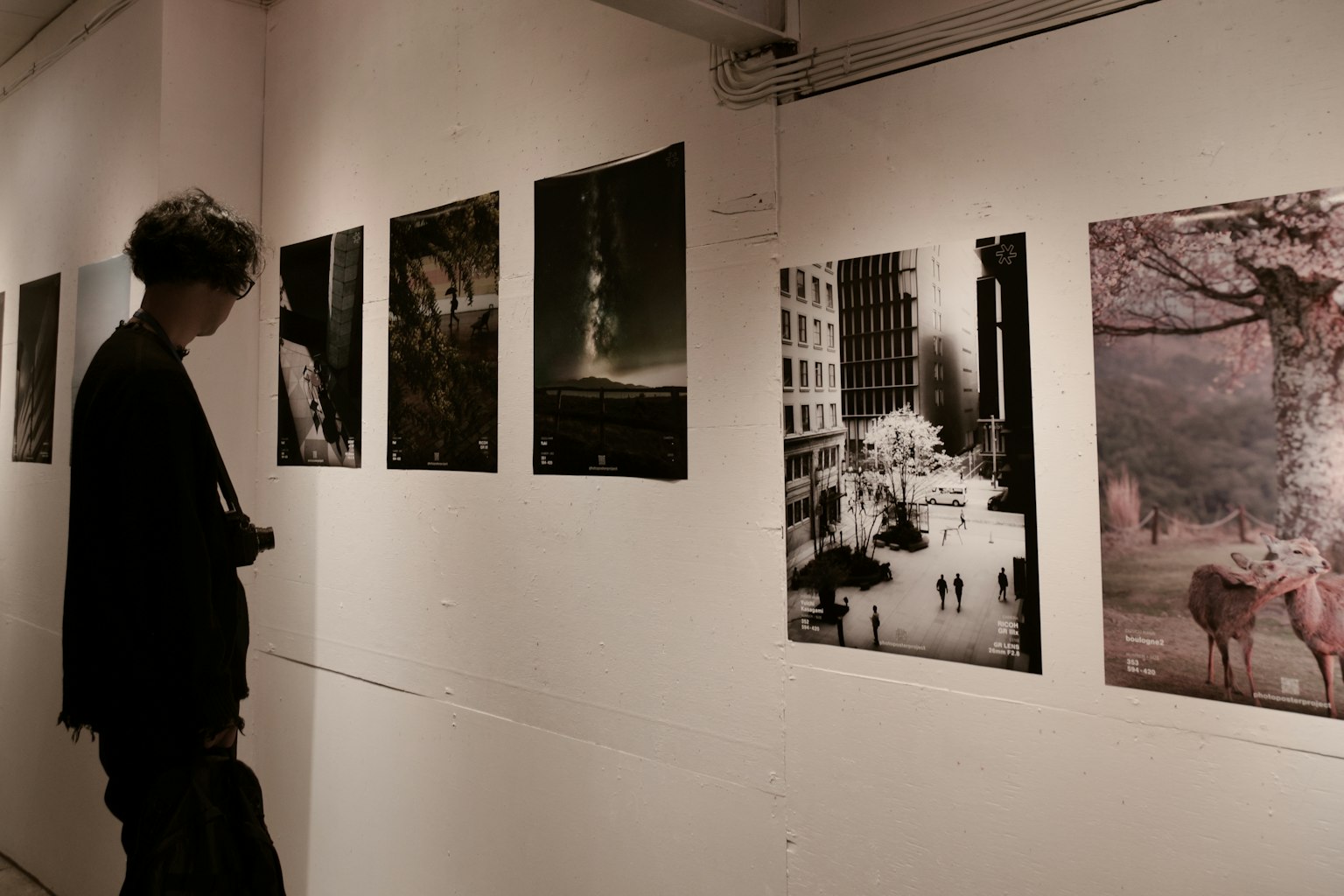 在画廊中观察艺术作品的人和墙上展示的照片