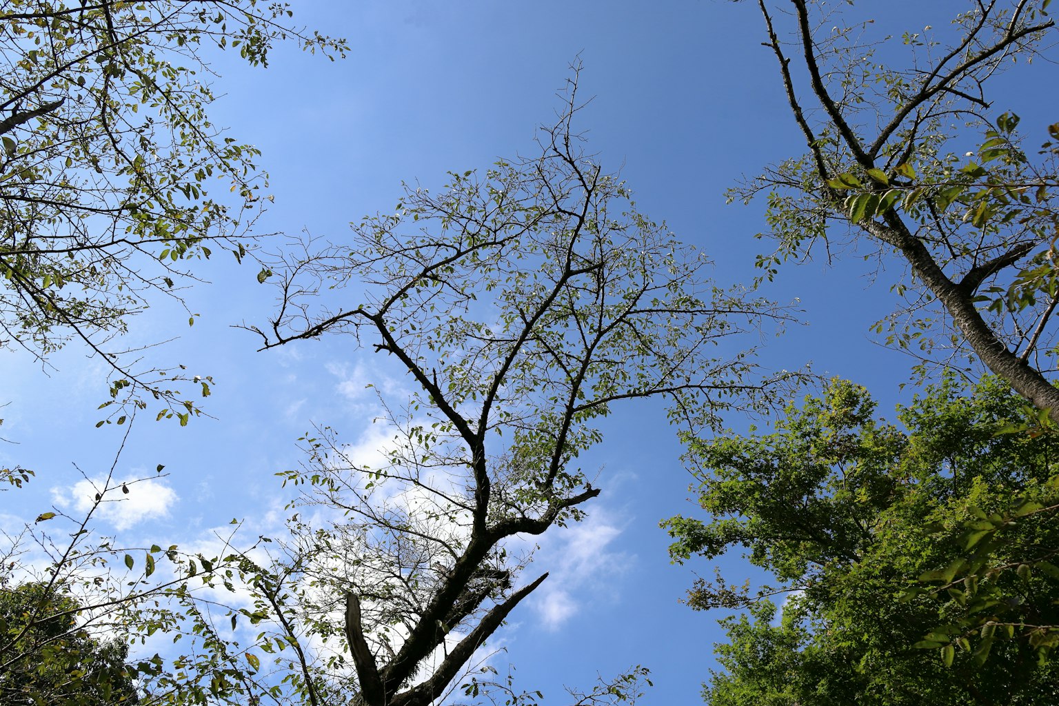 photo-5nuJMQ3ZnuLW25Xd9U8c-image
