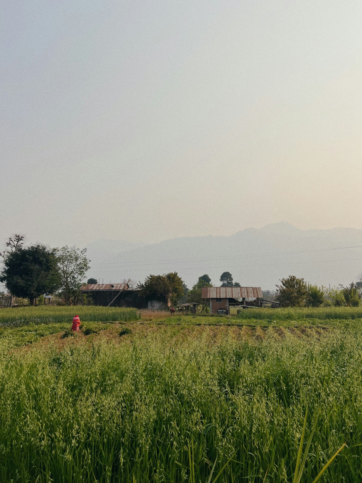 paesaggio rurale del Nepal con montagne lontane