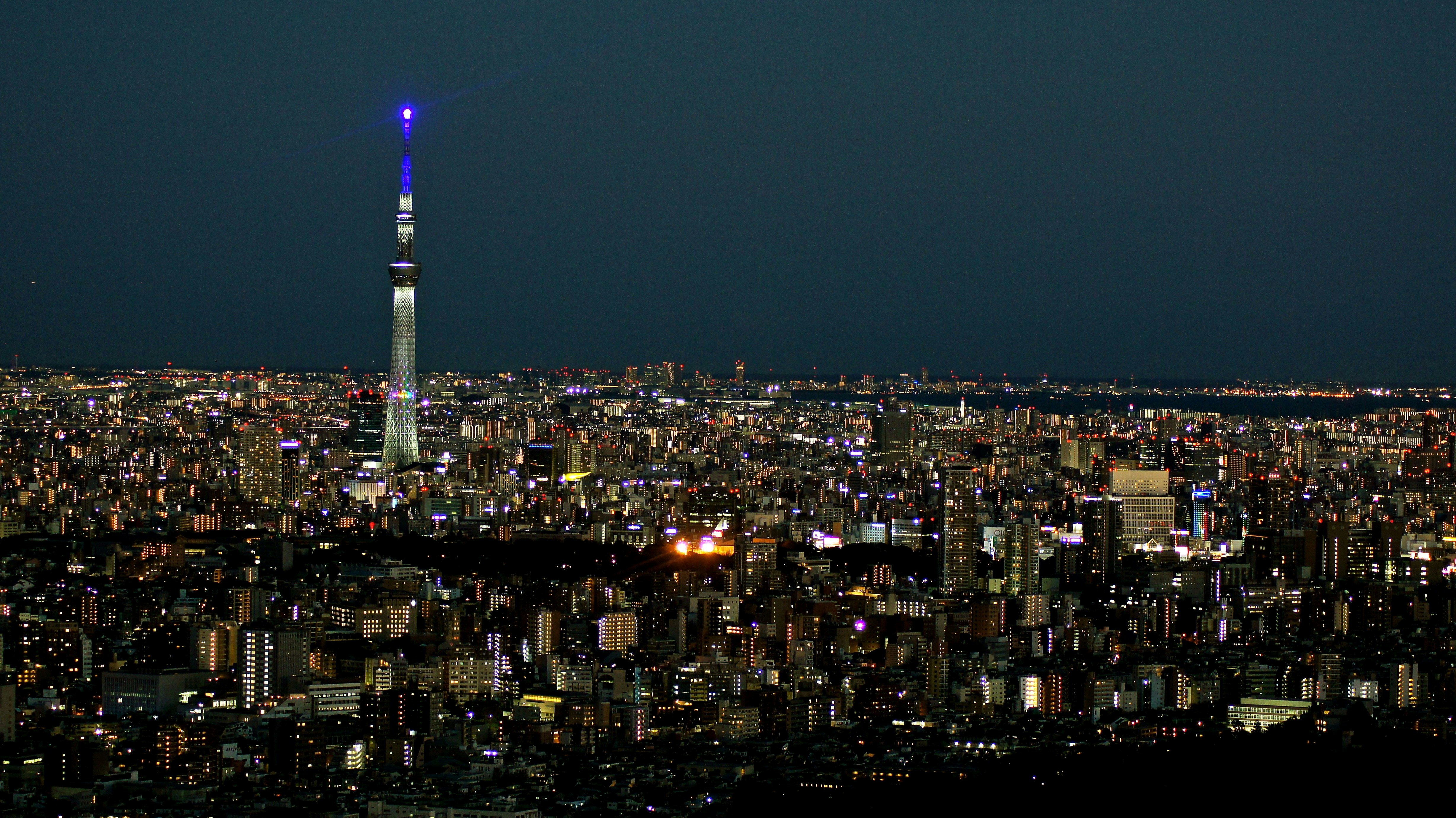 夜景の東京タワーと広がる大都市の街並み