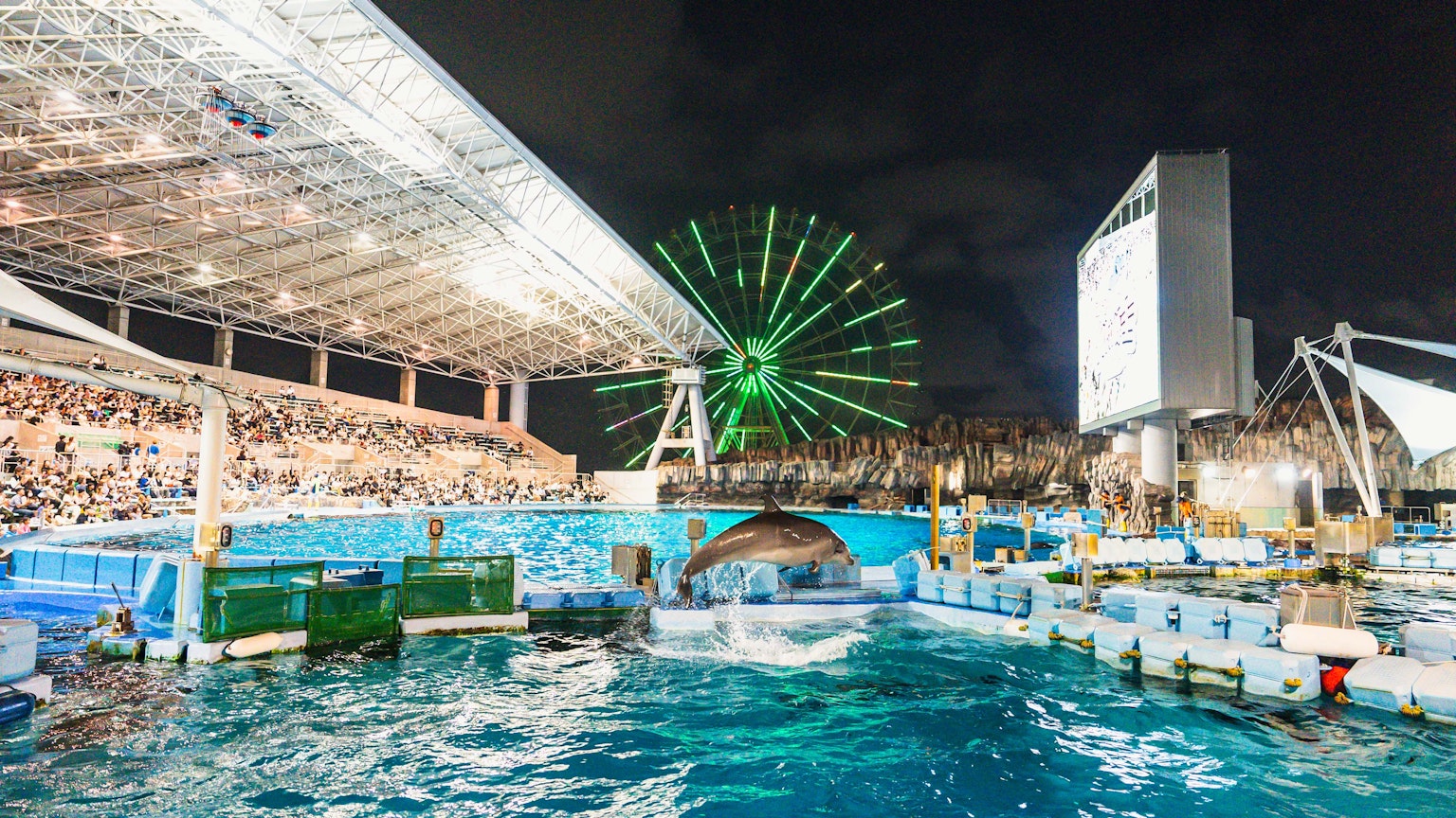 夜間水族館內有海豚表演，觀眾席和背景中的大型摩天輪