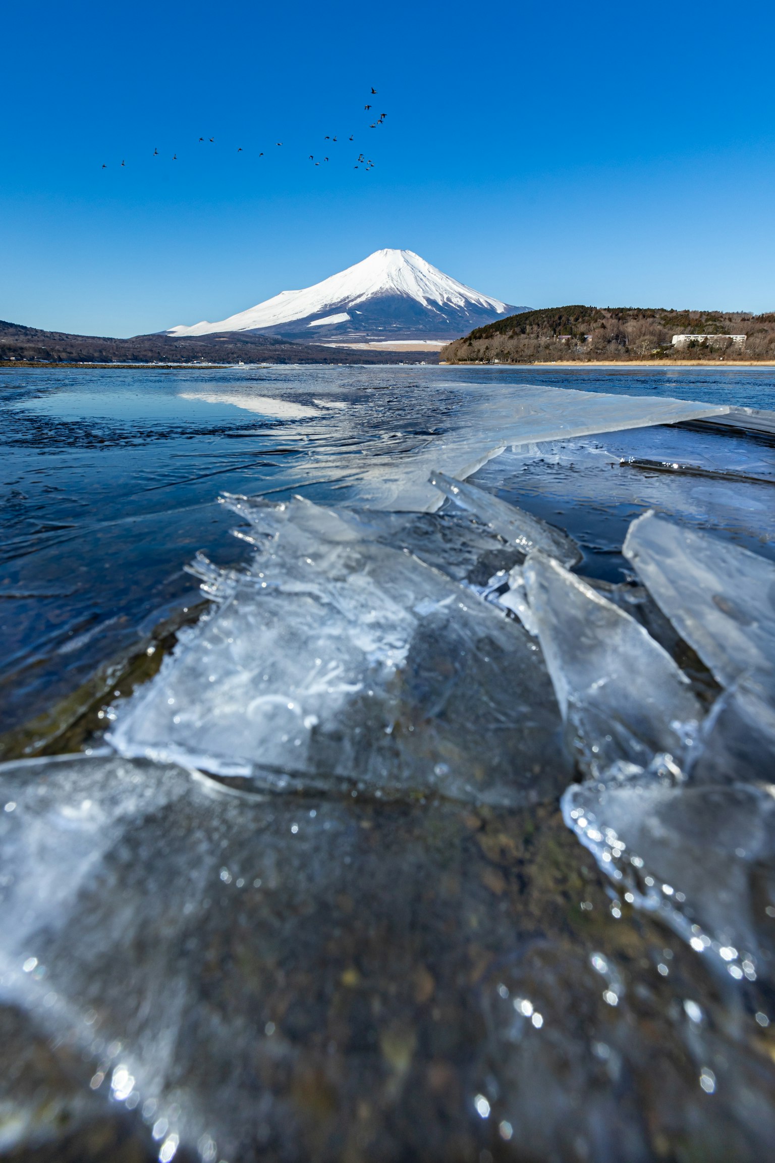 湖面上有冰块，背景是雪山富士山