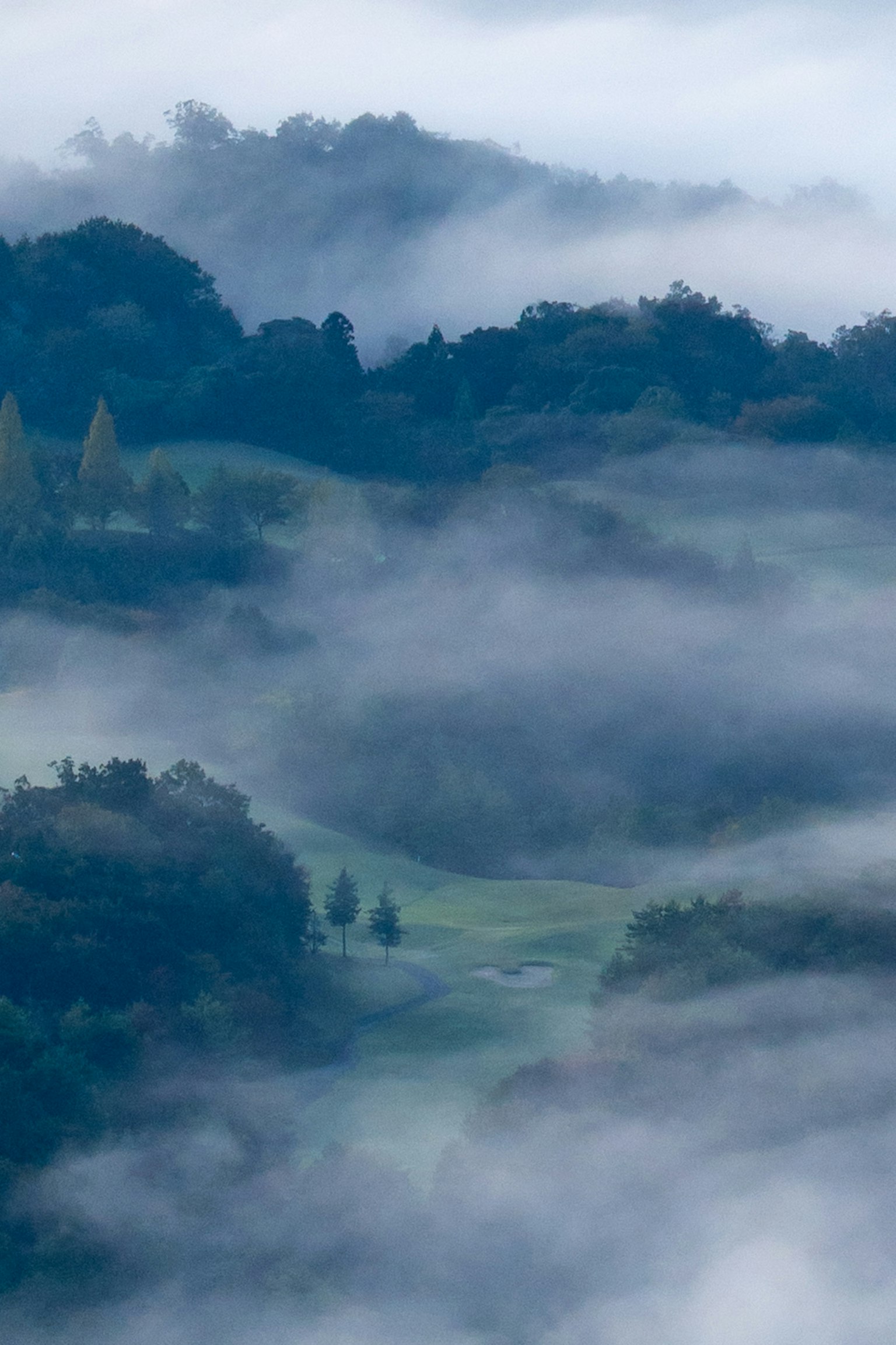 霧に包まれた山々と谷間の風景