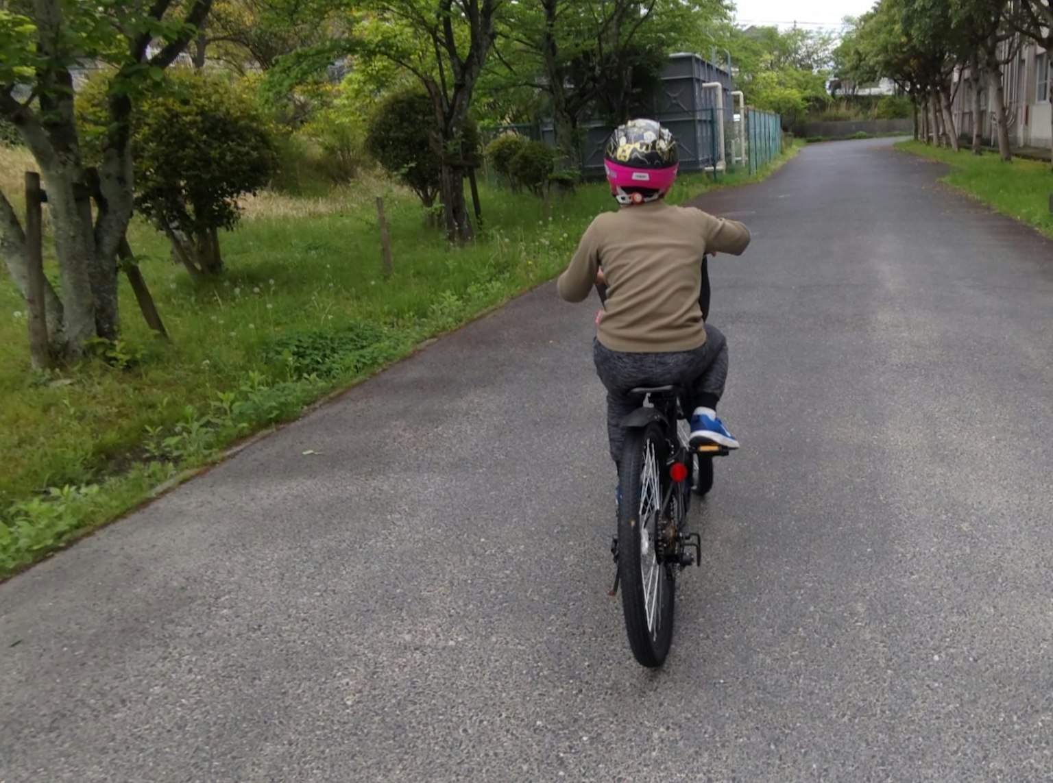 Child riding a bicycle on a path surrounded by greenery