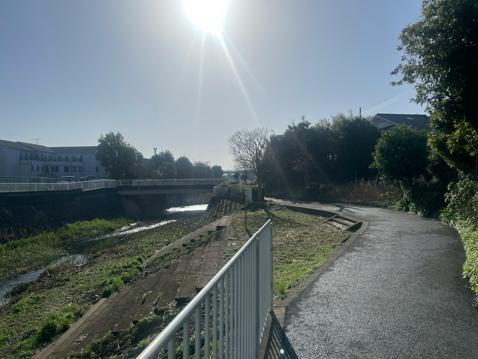 Ein Weg am Fluss unter hellem Sonnenlicht mit grüner Vegetation