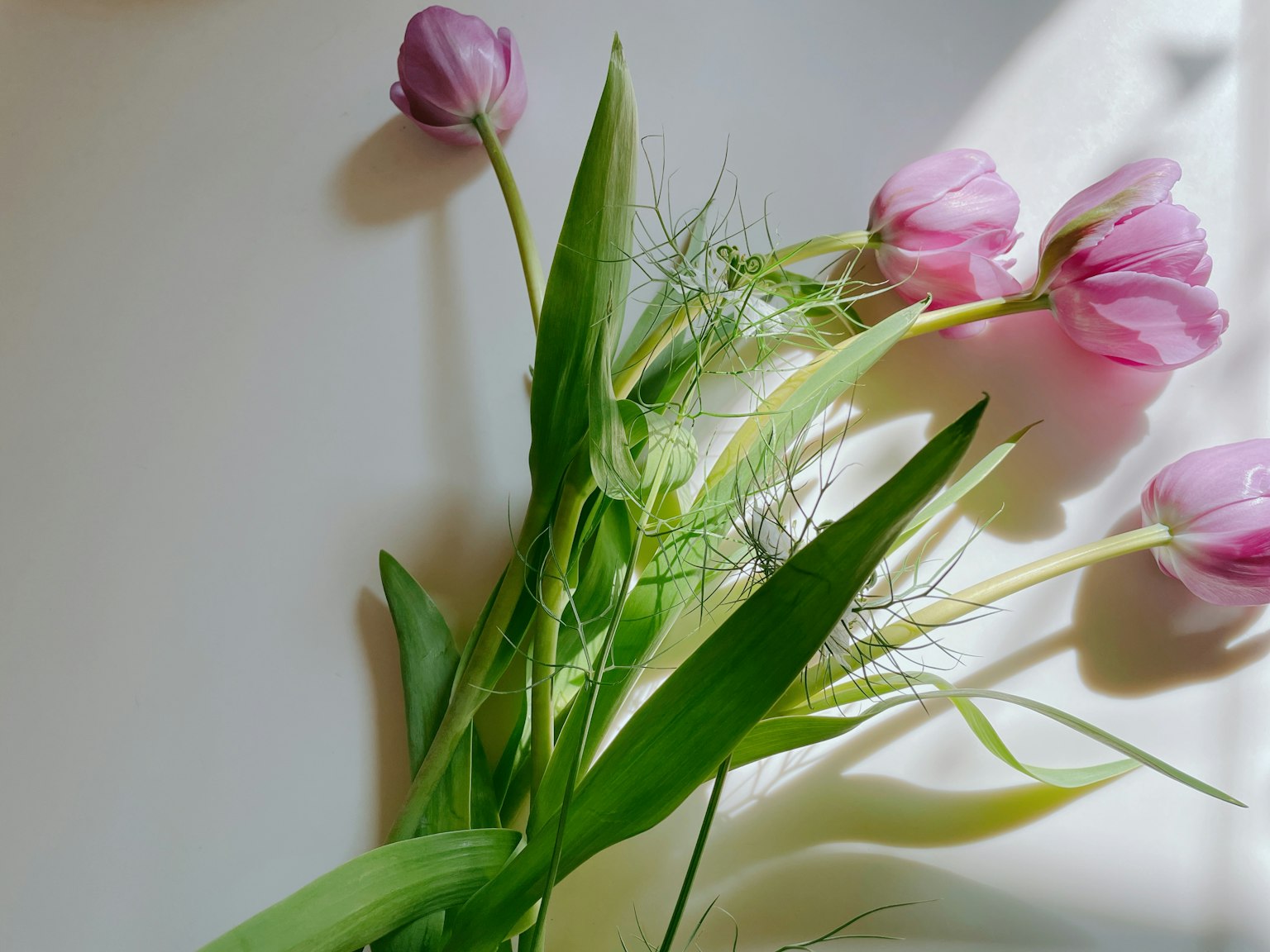 Seikat bunga tulip merah muda dan daun hijau yang indah