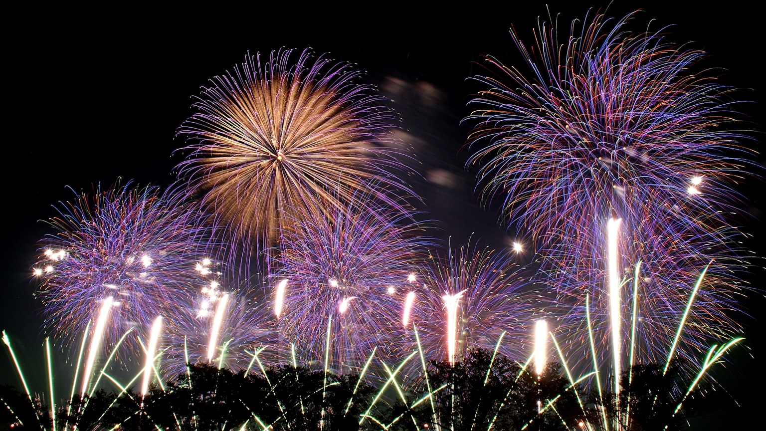 Colorful fireworks bursting in the night sky
